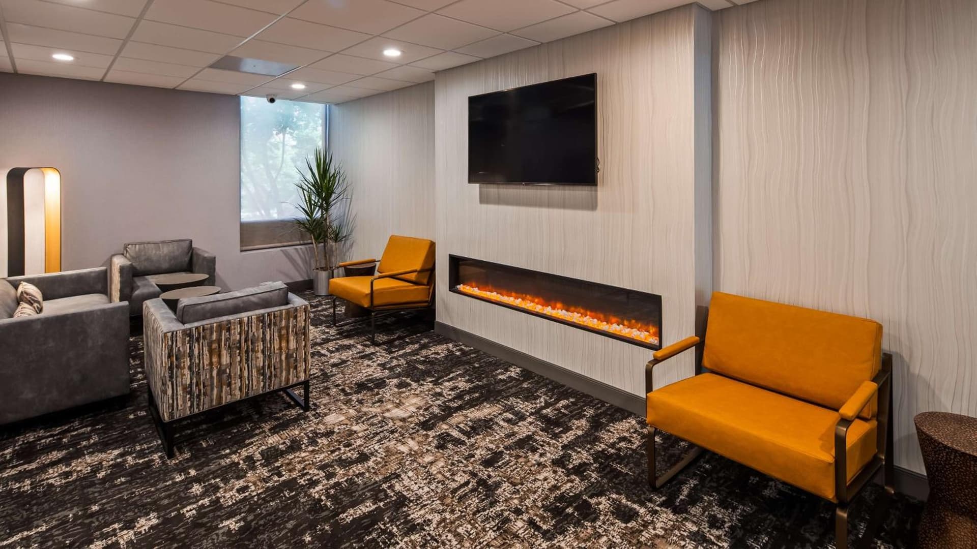 SureStay Plus Hotel by Best Western Chicago Lombard gallery photo in Lombard, IL — image 36
