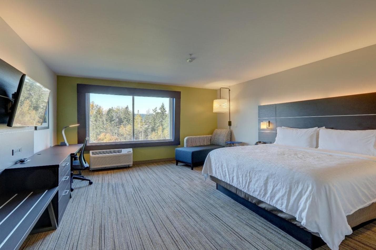 Holiday Inn Express & Suites - Auburn Downtown by IHG gallery photo in Auburn, WA — image 38