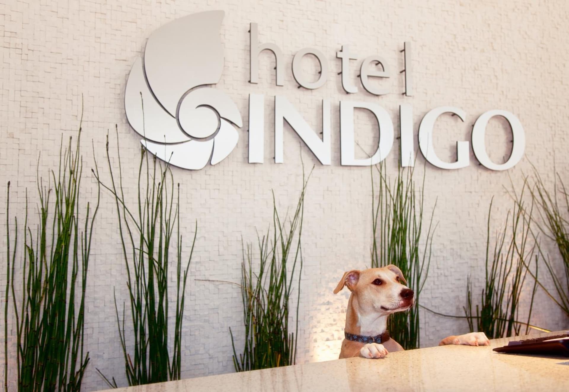 Hotel Indigo San Diego - Gaslamp Quarter by IHG gallery photo in San Diego, CA — image 58