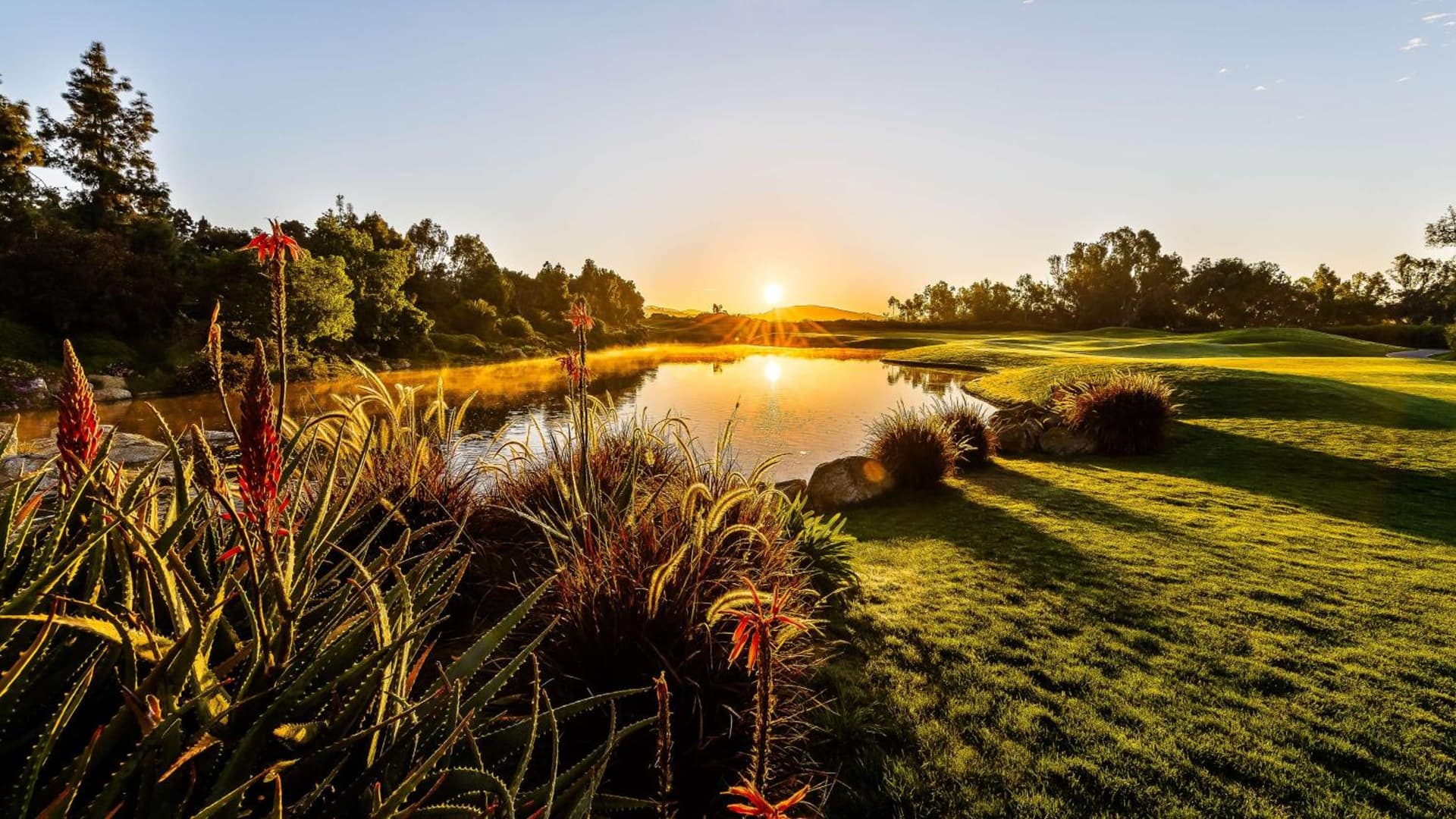 Park Hyatt Aviara gallery photo in Carlsbad, CA — image 71