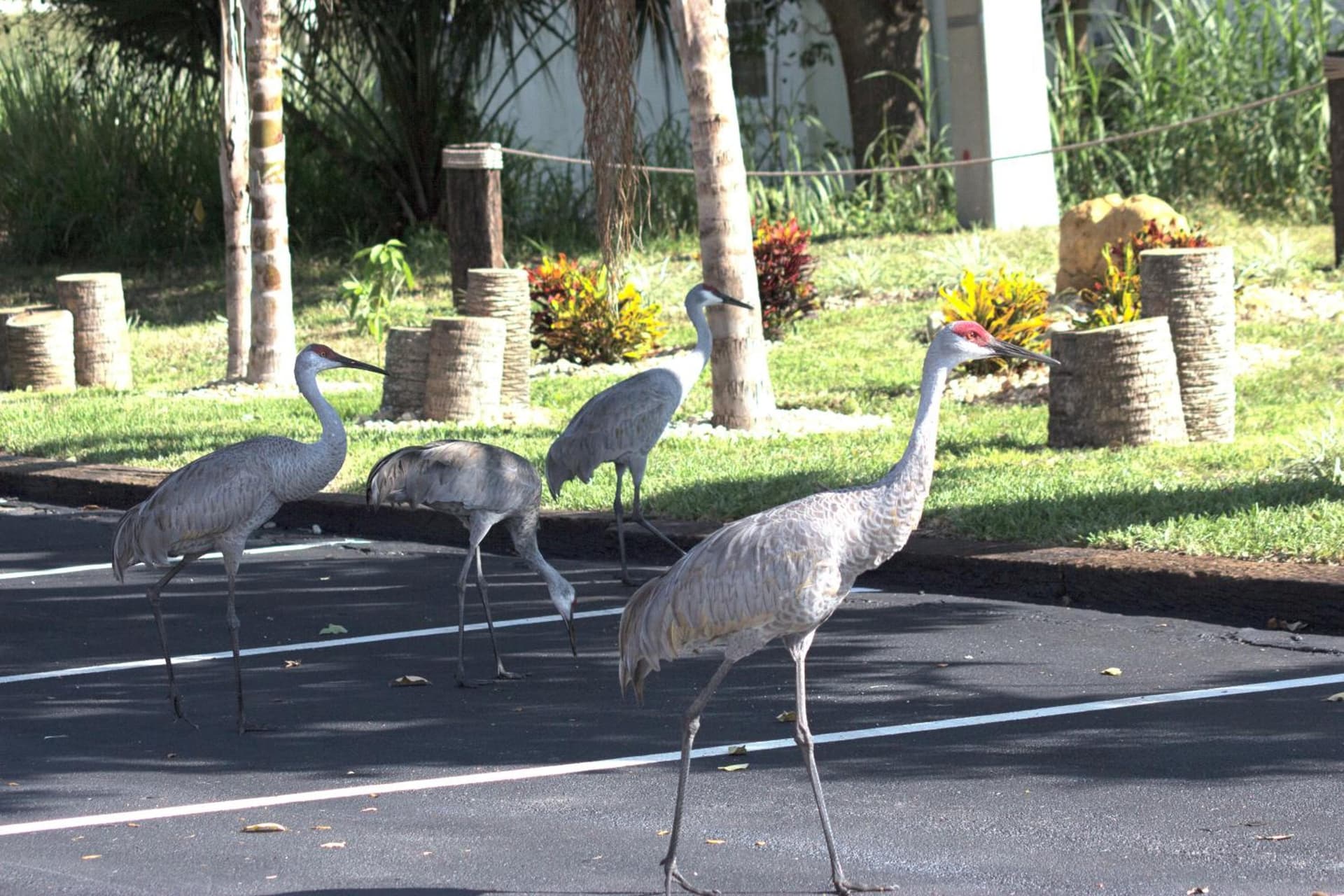 At Home Inn - Fort Pierce gallery photo in Fort Pierce, FL — image 21