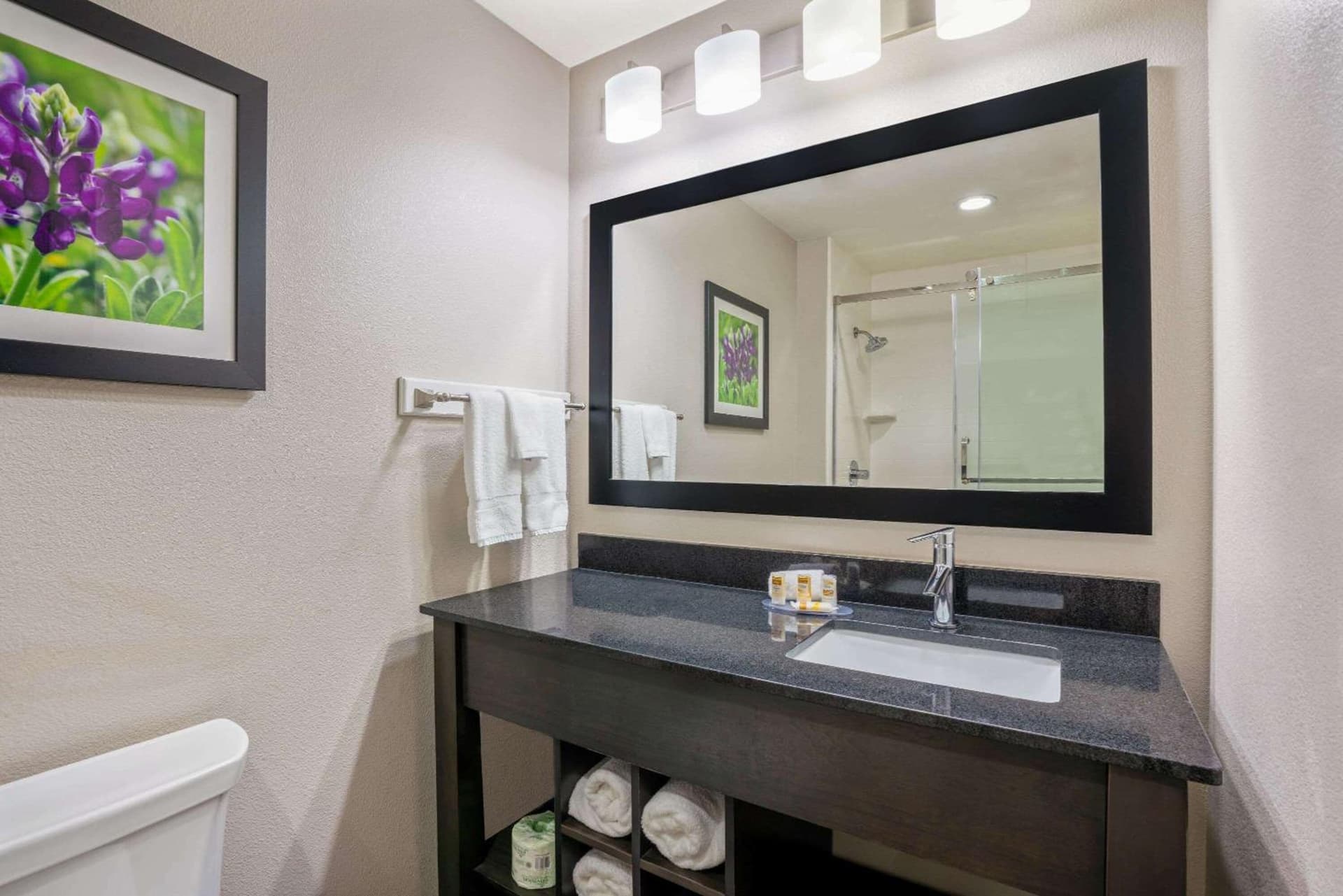 La Quinta by Wyndham College Station South gallery photo in College Station, TX — image 8