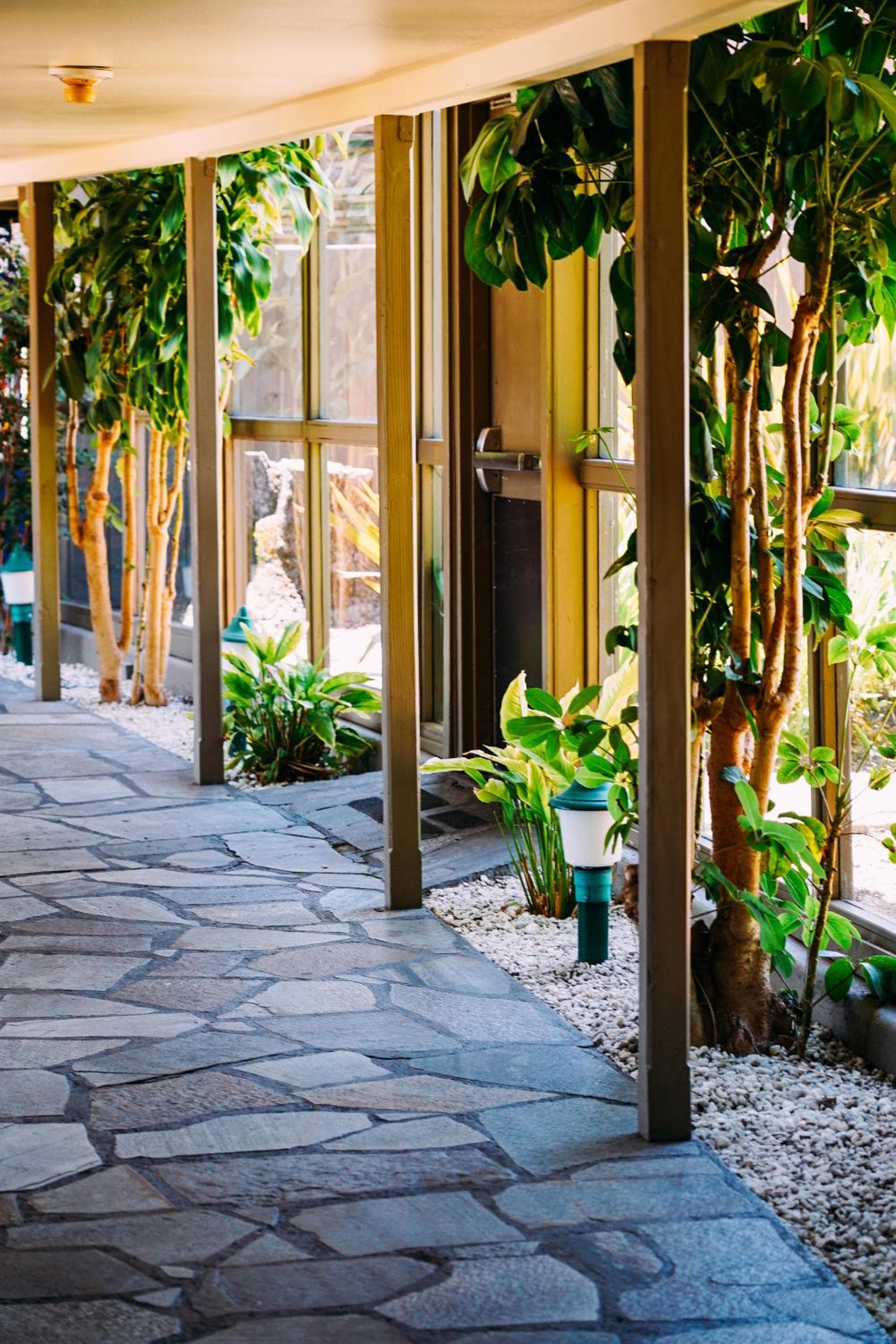 Flamingo Resort & Spa Santa Rosa Sonoma, Tapestry by Hilton gallery photo in Santa Rosa, CA — image 16