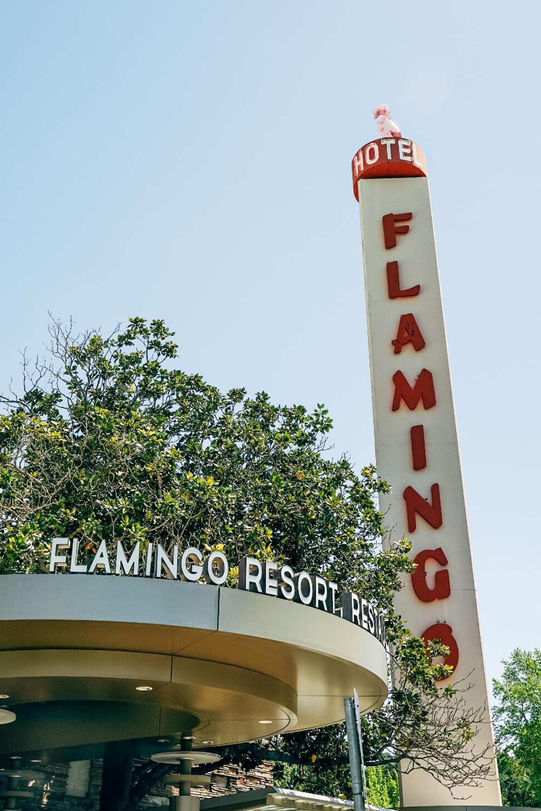 Flamingo Resort & Spa Santa Rosa Sonoma, Tapestry by Hilton gallery photo in Santa Rosa, CA — image 40