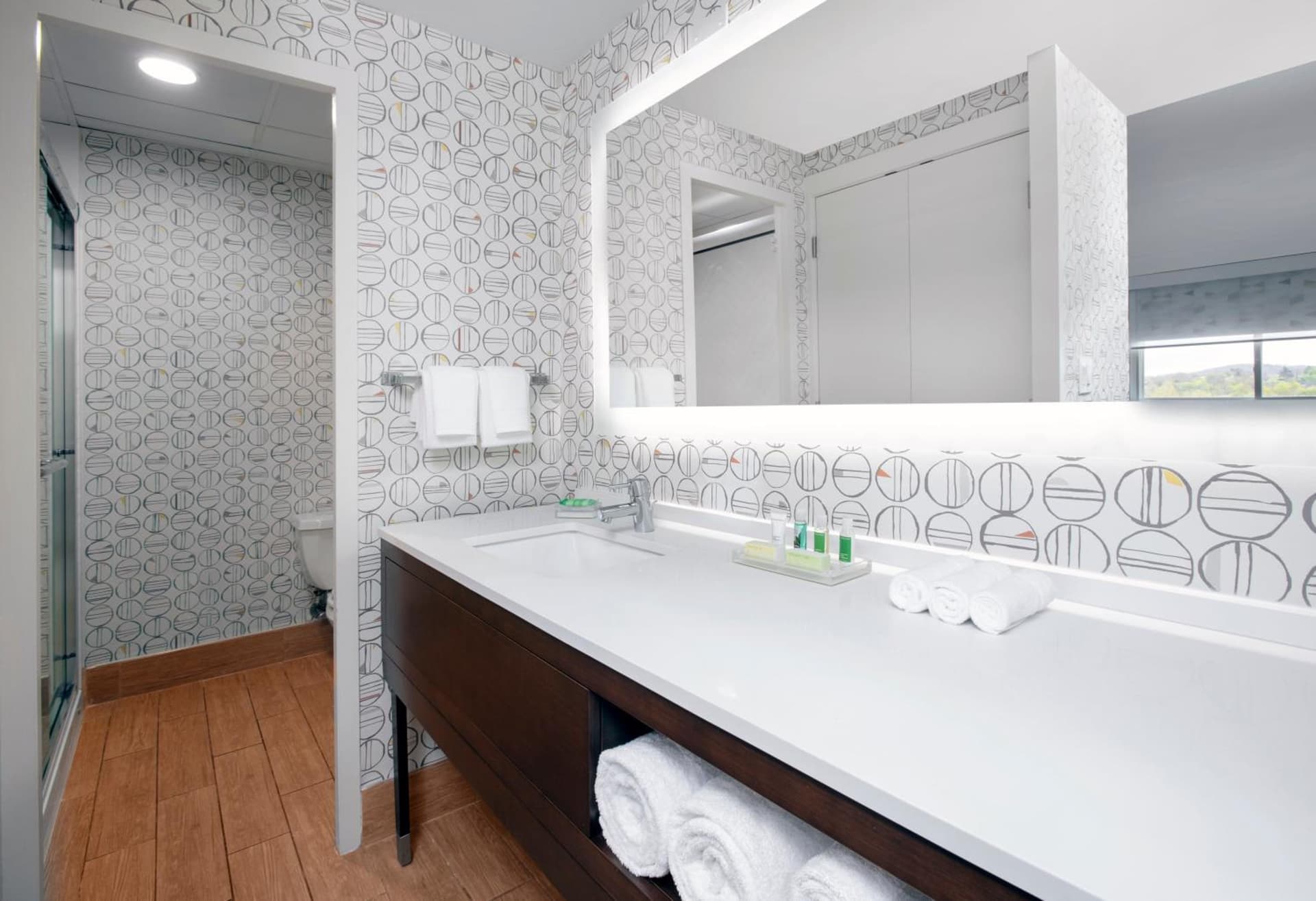 Holiday Inn Binghamton-Downtown Hawley Street by IHG gallery photo in Binghamton, NY — image 13