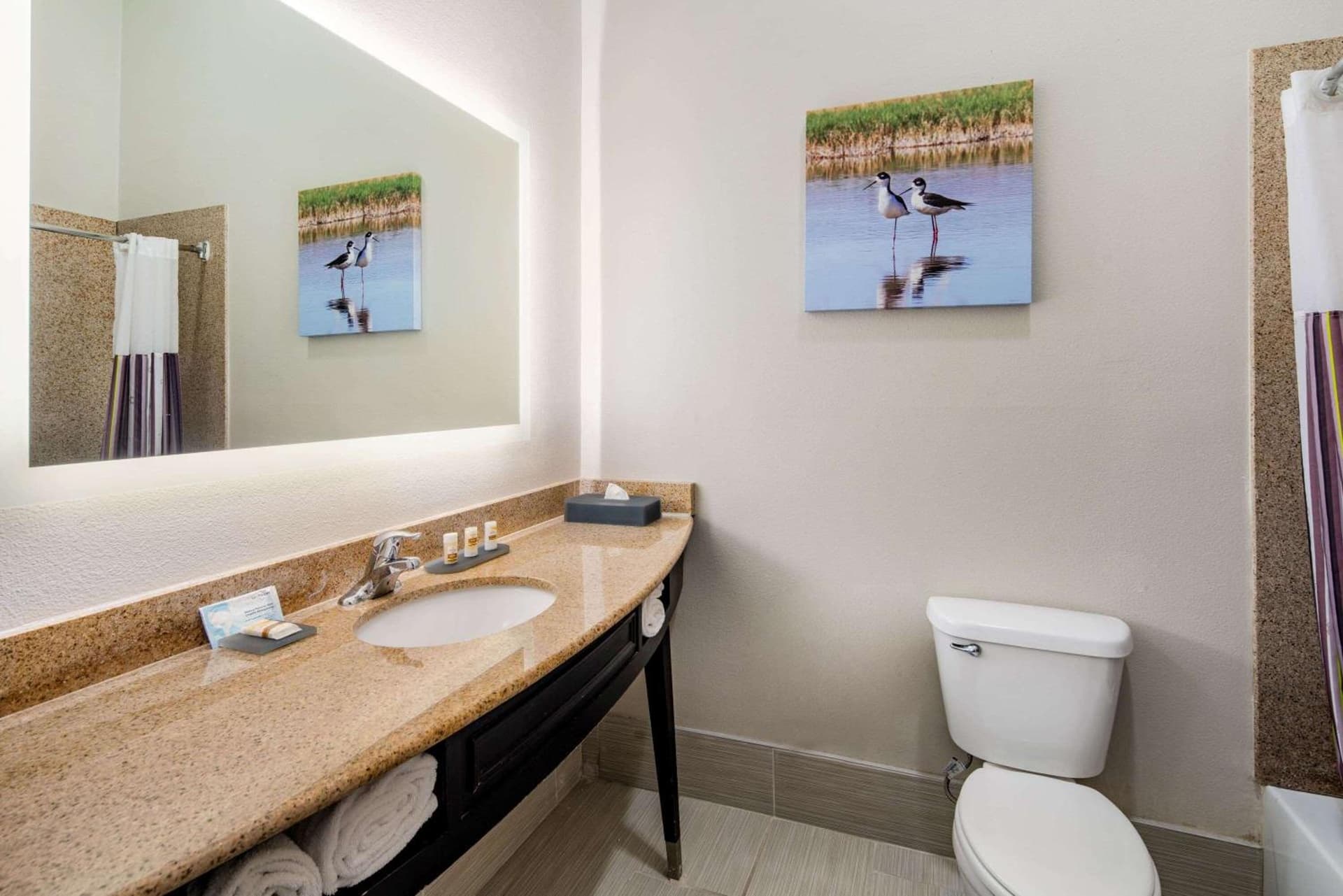 La Quinta by Wyndham Alamo-McAllen East gallery photo in Alamo, TX — image 44