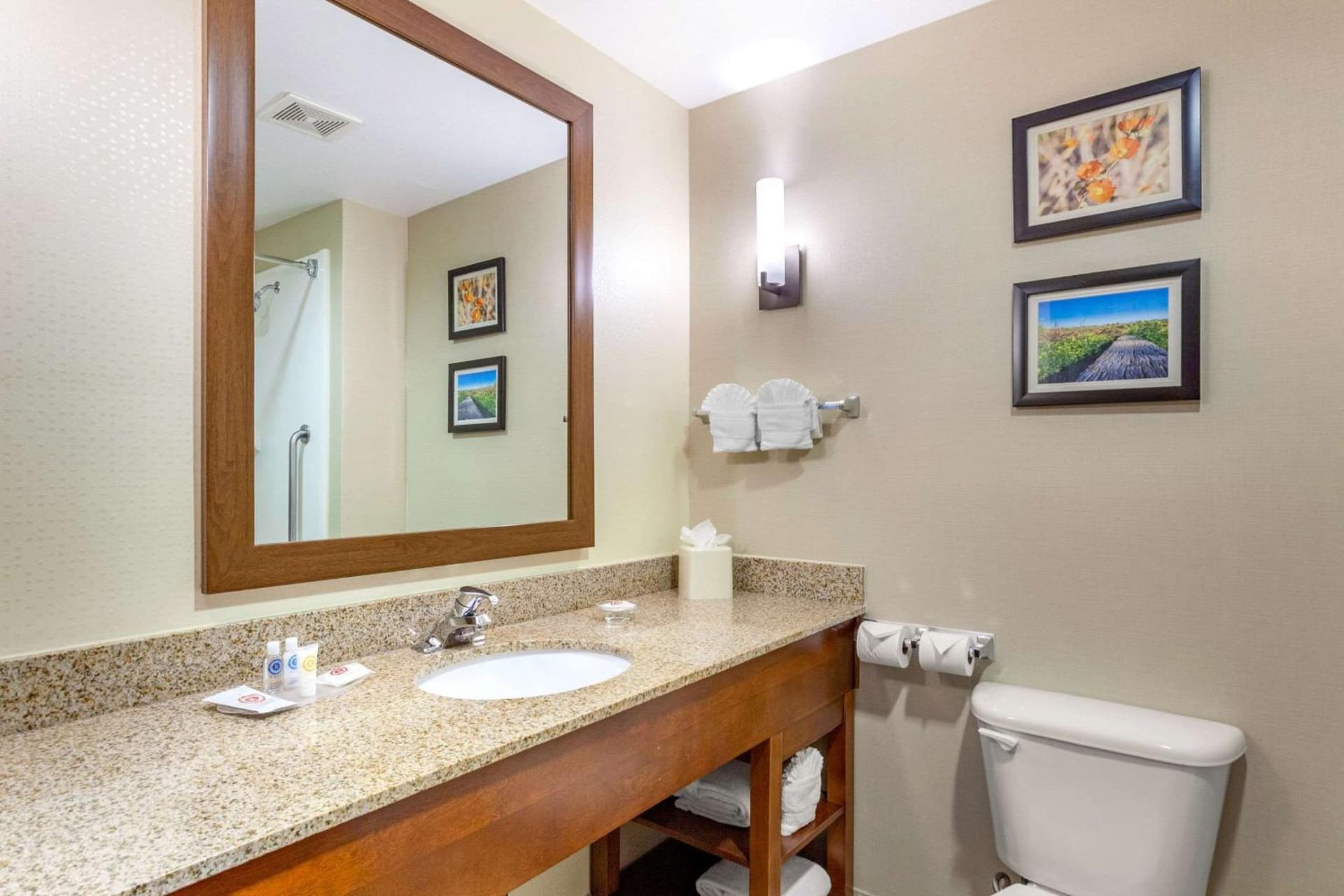 Comfort Suites Glendale - State Farm Stadium Area gallery photo in Glendale, AZ — image 33