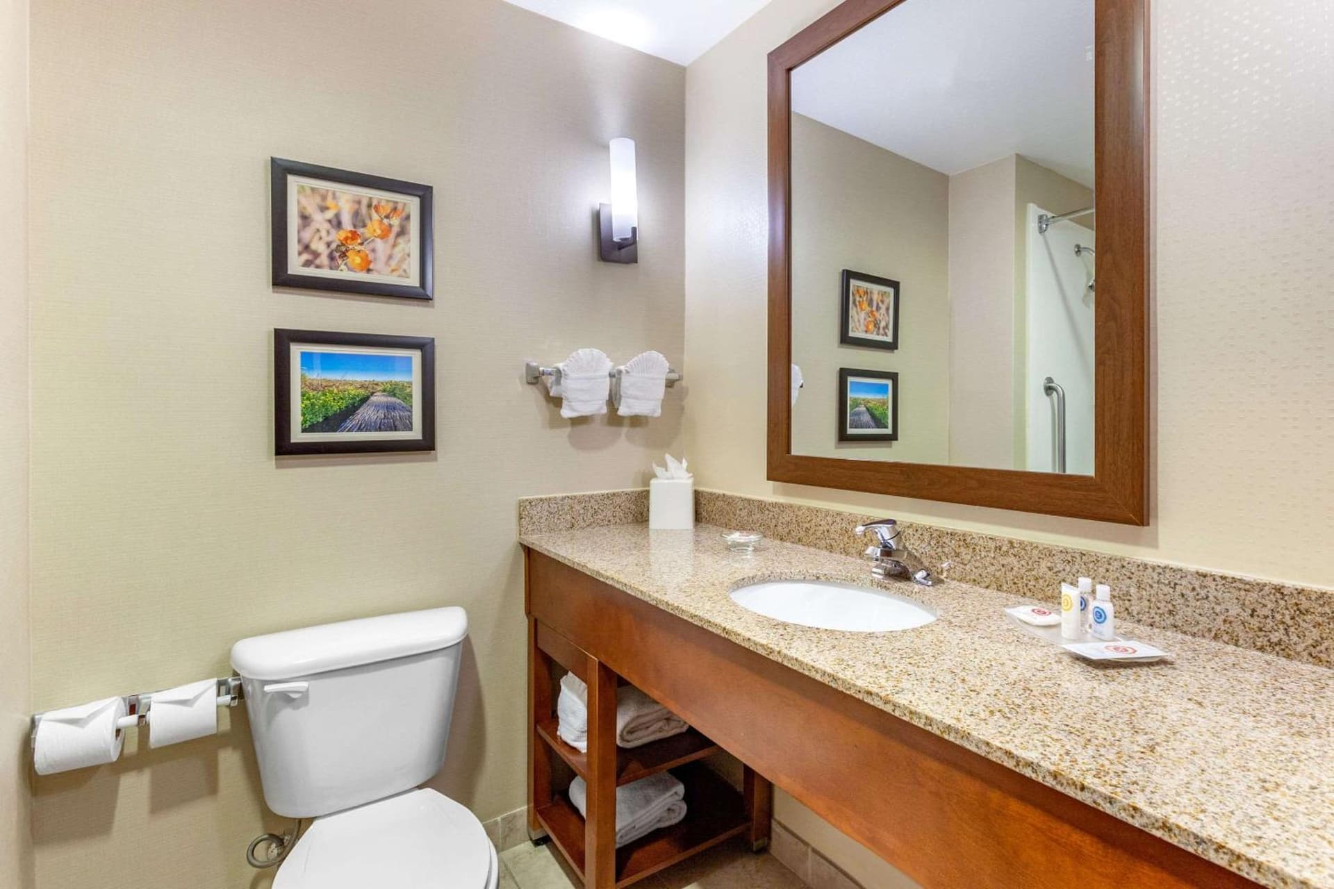 Comfort Suites Glendale - State Farm Stadium Area gallery photo in Glendale, AZ — image 32