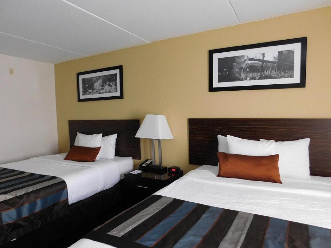 Wingate by Wyndham Bowling Green gallery photo in Bowling Green, KY — image 20