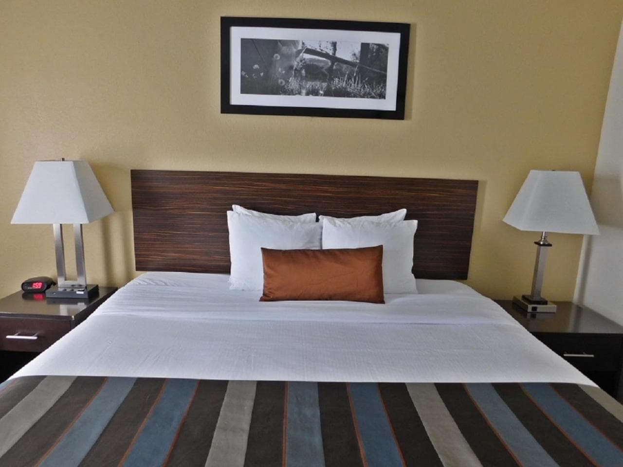 Wingate by Wyndham Bowling Green gallery photo in Bowling Green, KY — image 23