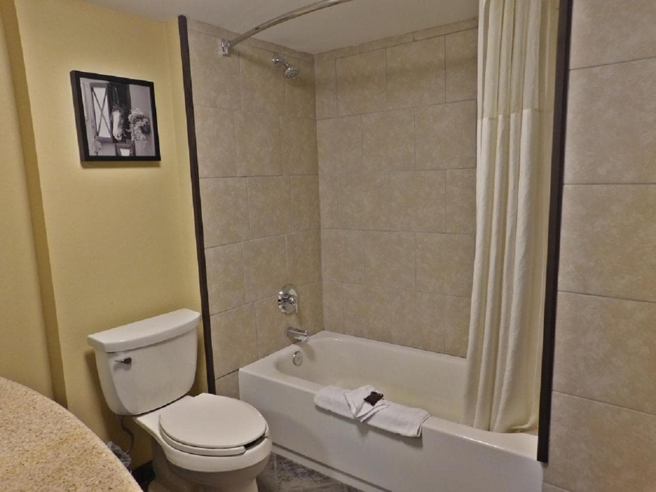 Wingate by Wyndham Bowling Green gallery photo in Bowling Green, KY — image 15