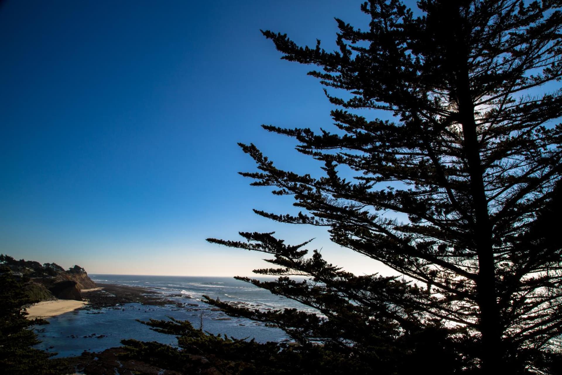 Seal Cove Inn gallery photo in Half Moon Bay, CA — image 21