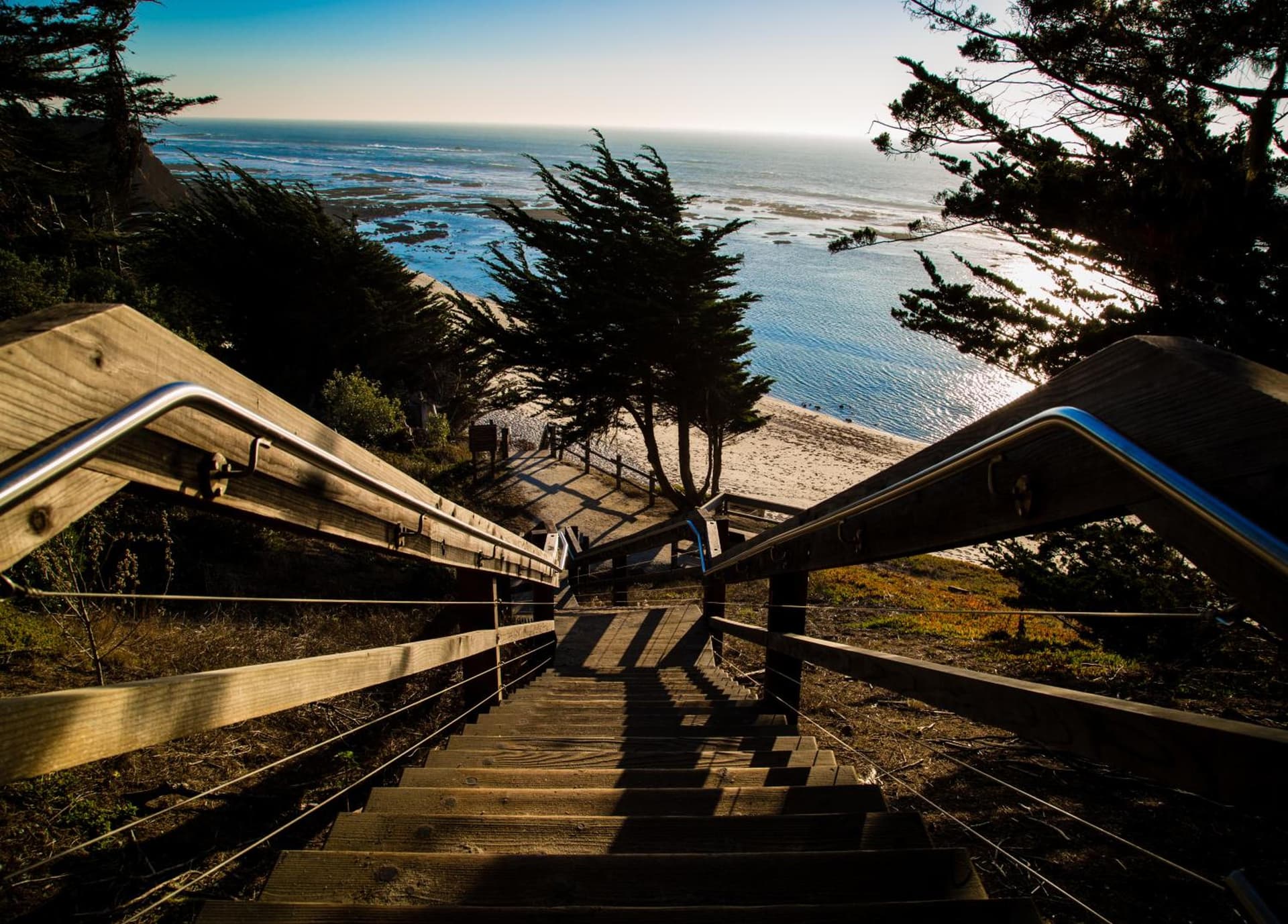 Seal Cove Inn gallery photo in Half Moon Bay, CA — image 10