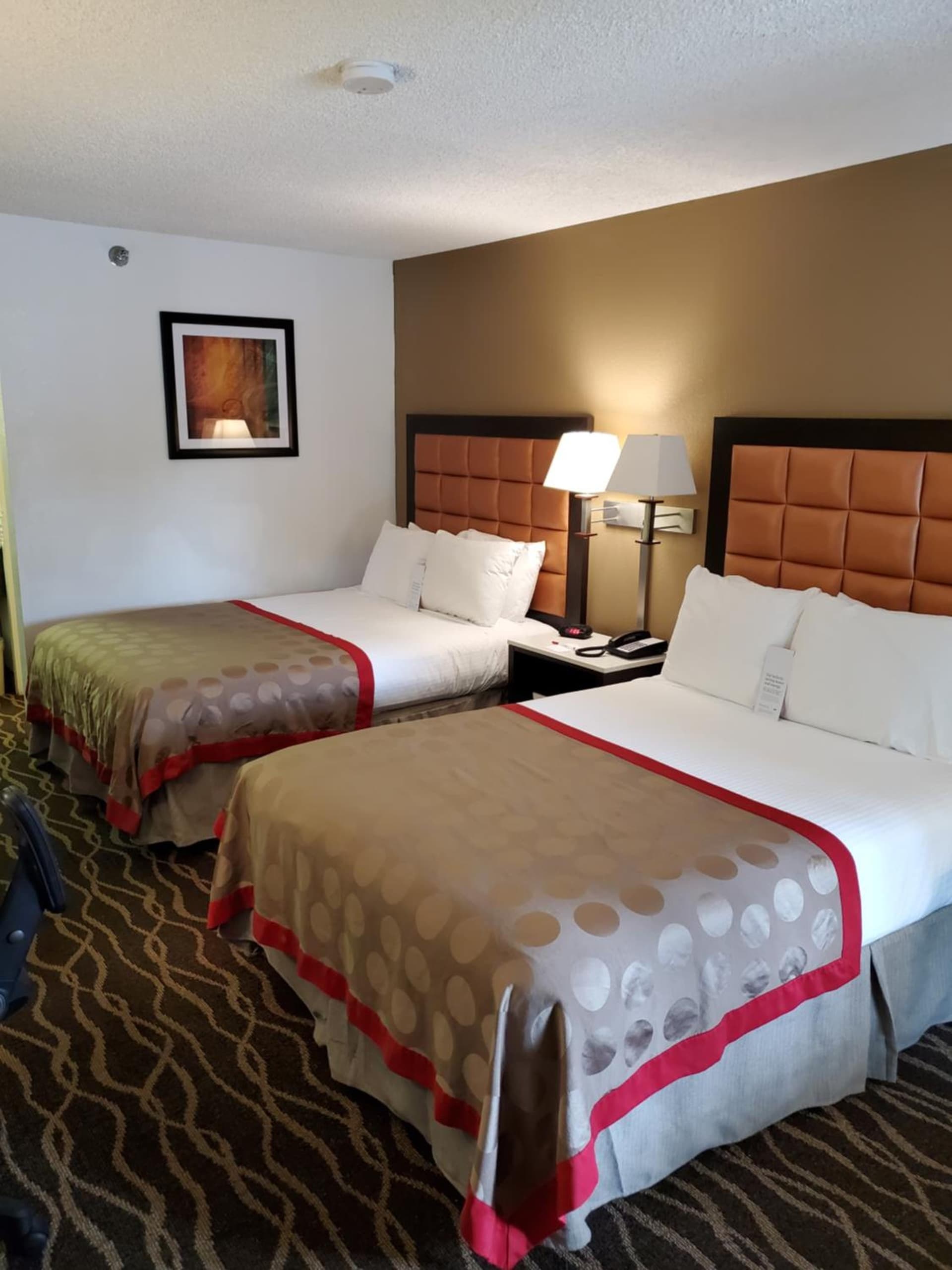 Ramada by Wyndham Temple Terrace/Tampa North gallery photo in Tampa, FL — image 65