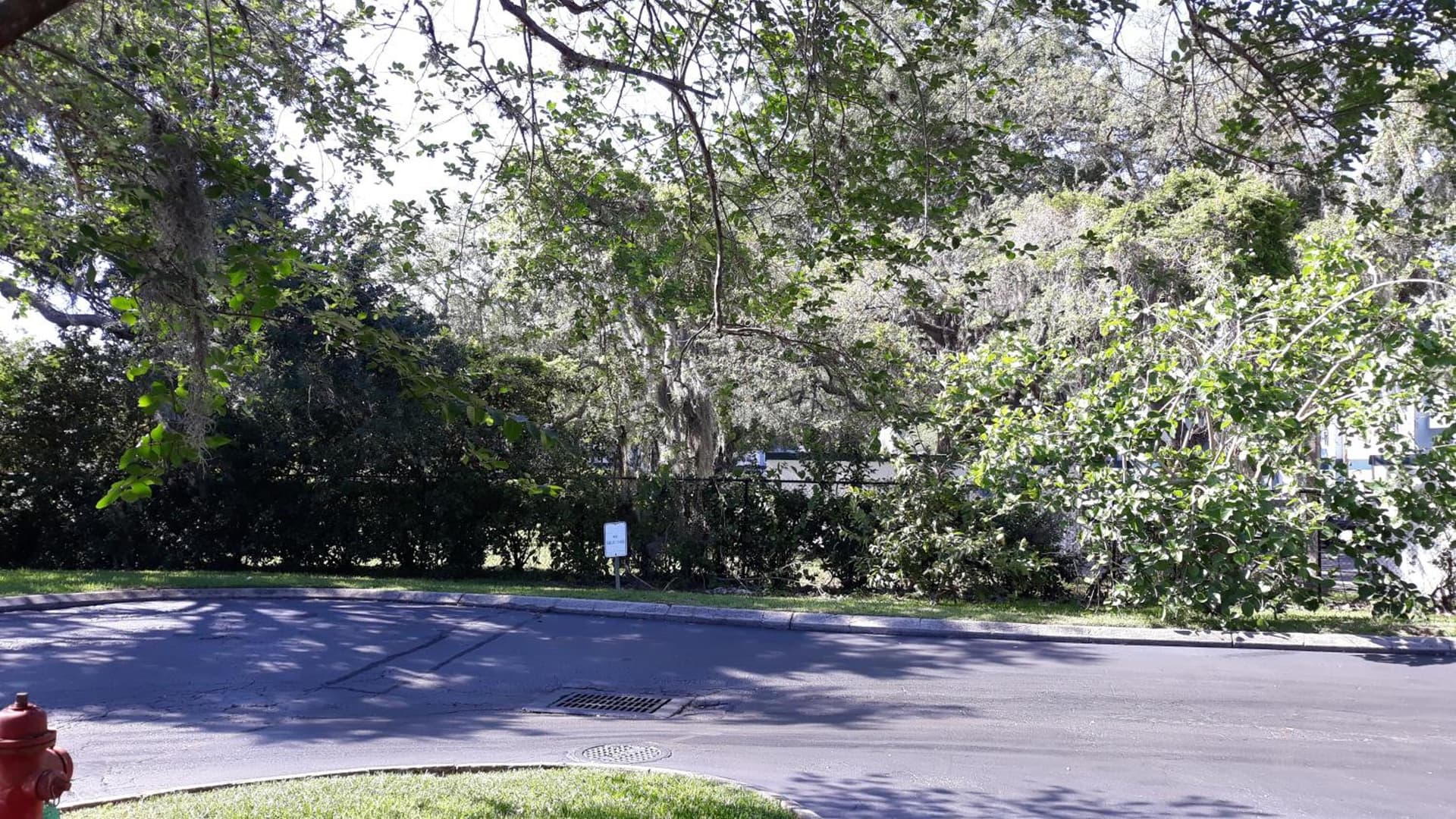 Ramada by Wyndham Temple Terrace/Tampa North property views in Tampa, FL — gallery photo 3