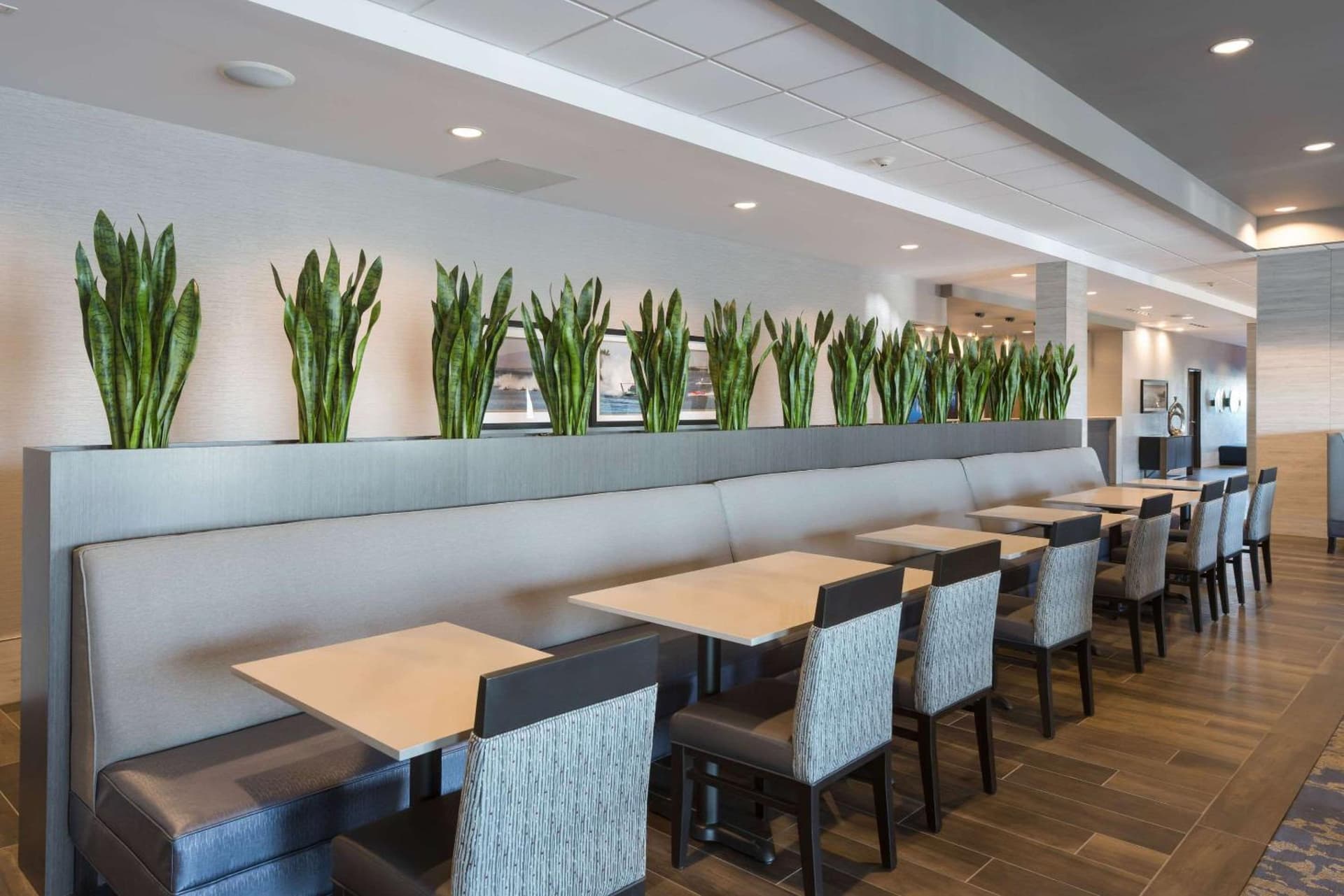 Comfort Suites Kennewick at Southridge gallery photo in Kennewick, WA — image 36