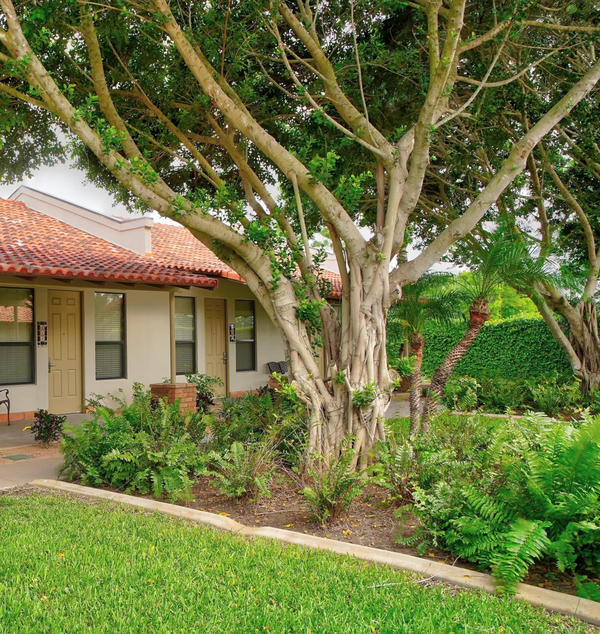 The Bungalows on Shary gallery photo in McAllen, TX — image 43