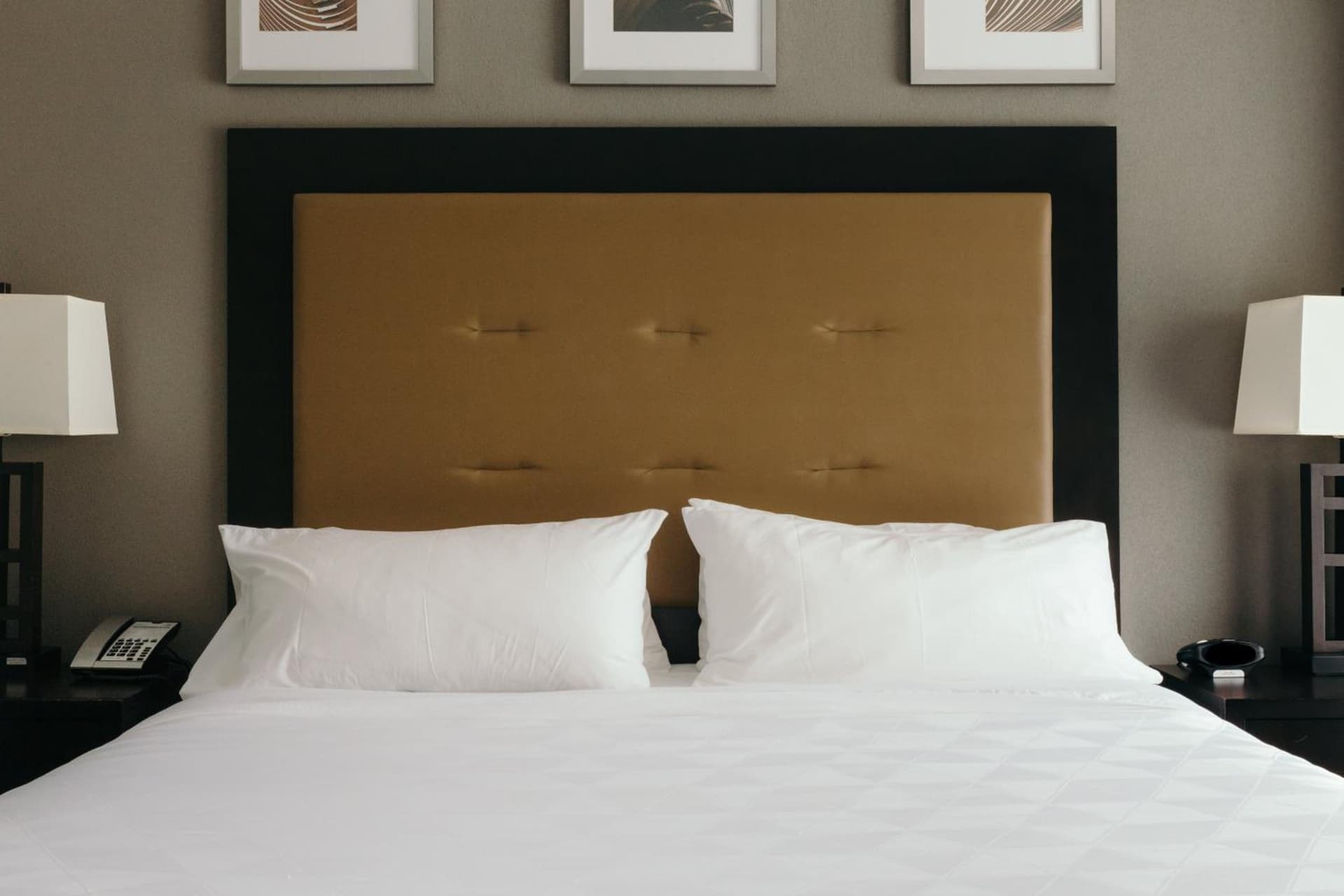 Holiday Inn and Suites East Peoria by IHG gallery photo in Peoria, IL — image 9