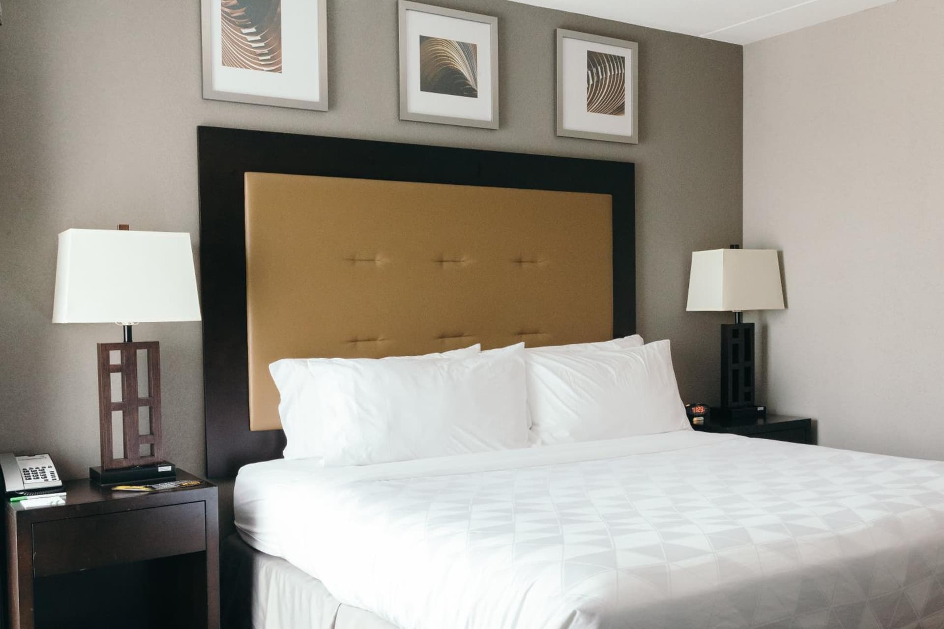 Holiday Inn and Suites East Peoria by IHG gallery photo in Peoria, IL — image 84