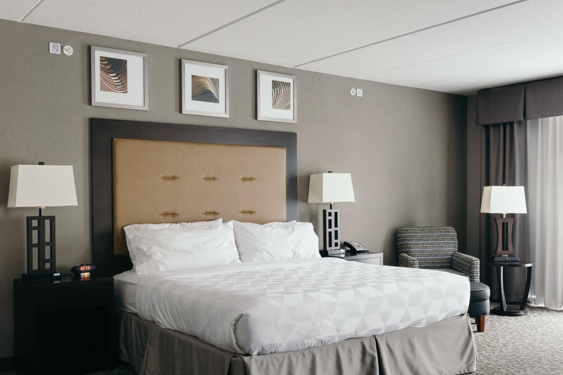 Holiday Inn and Suites East Peoria by IHG gallery photo in Peoria, IL — image 86