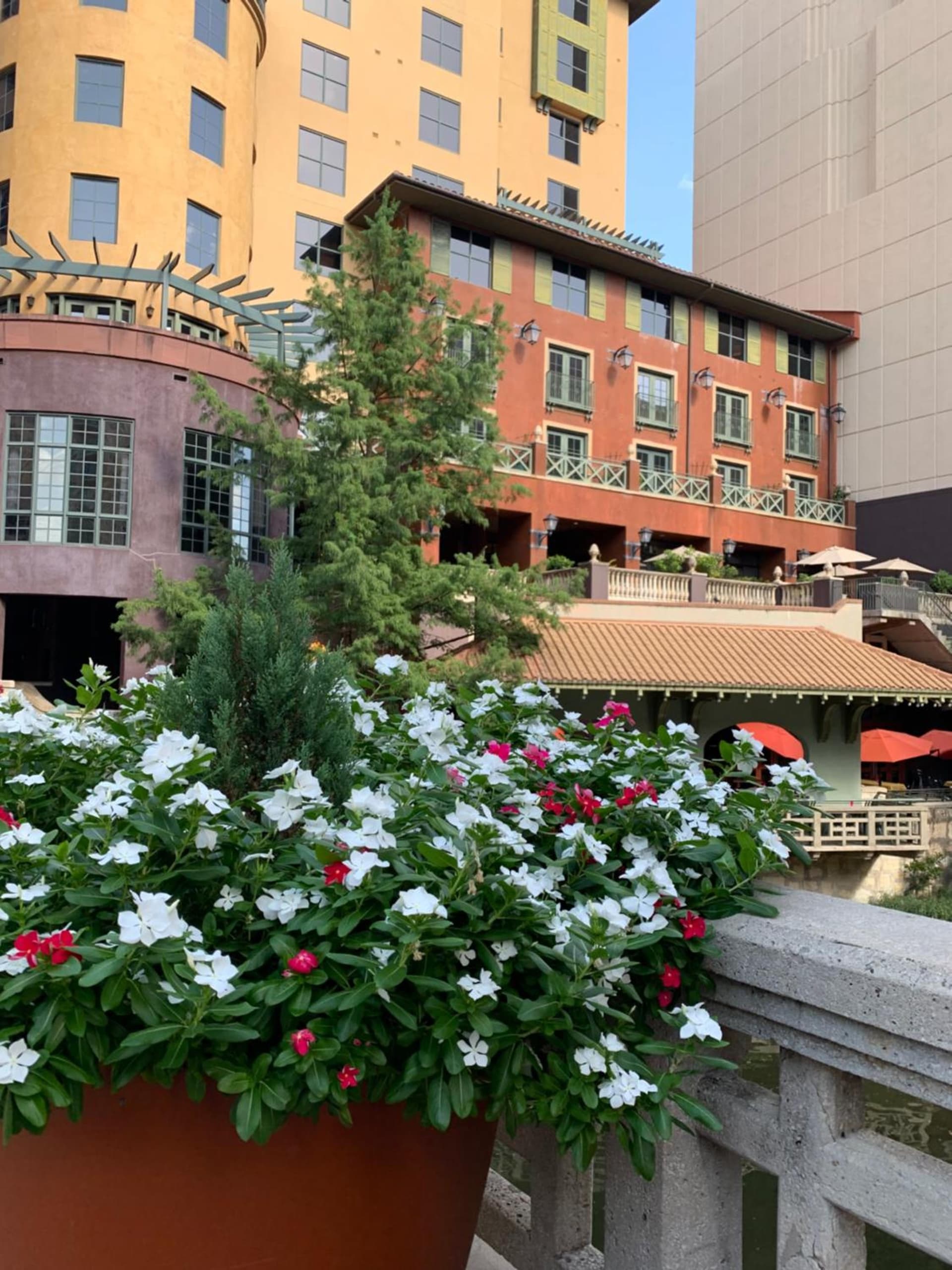 Hotel Valencia Riverwalk gallery photo in San Antonio, TX — image 45