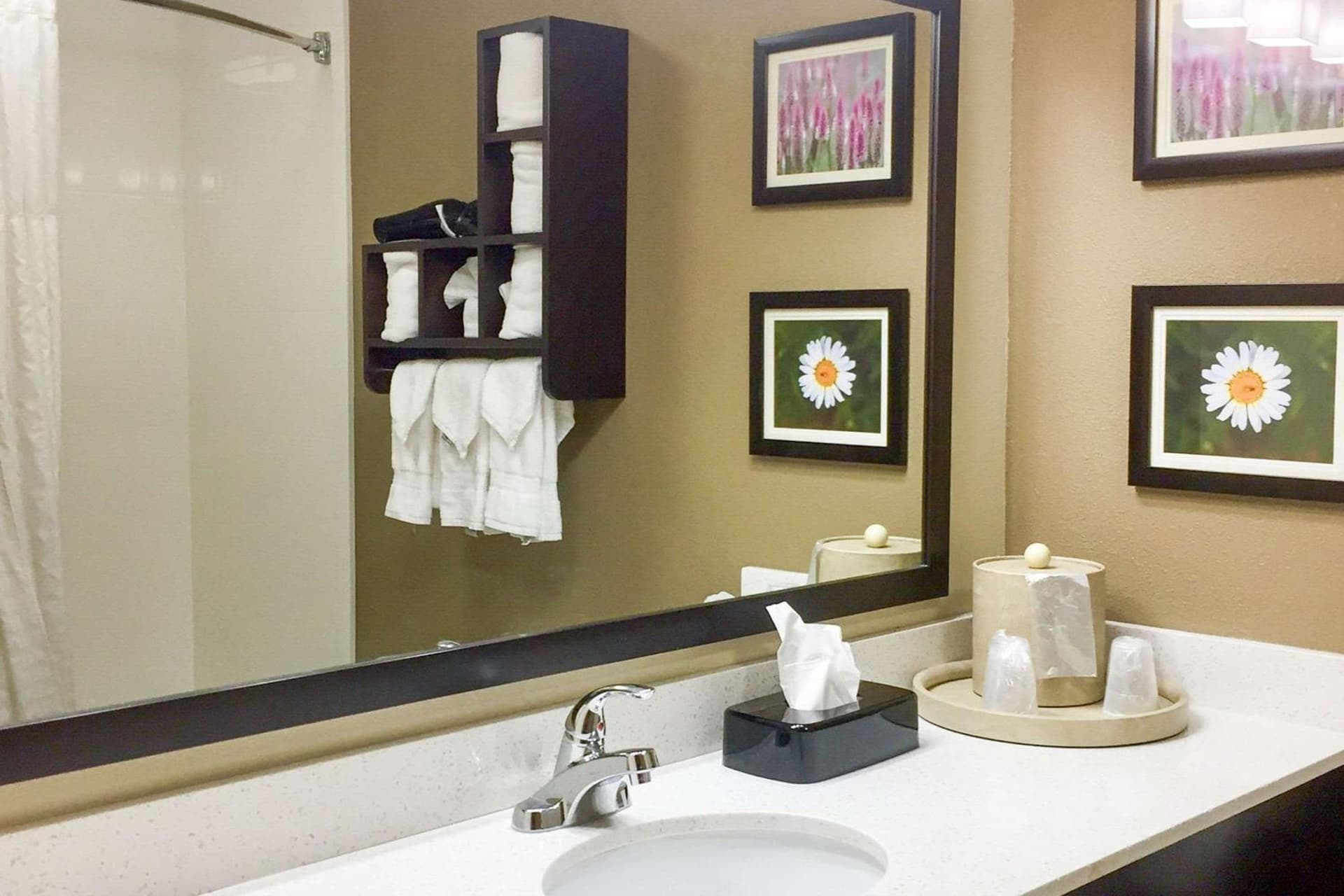 Comfort Suites Regency Park gallery photo in Cary, NC — image 9