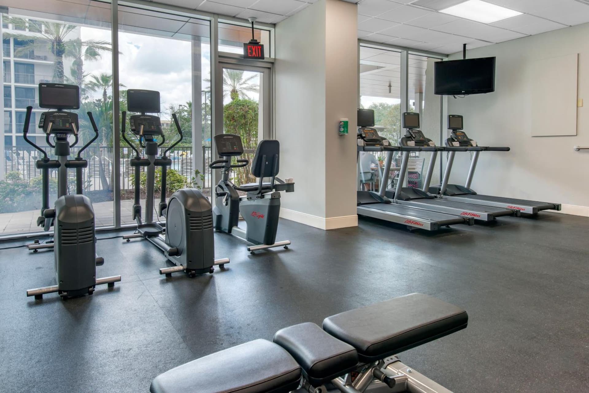 Holiday Inn Orlando – Disney Springs® Area by IHG gallery photo in Orlando, FL — image 57