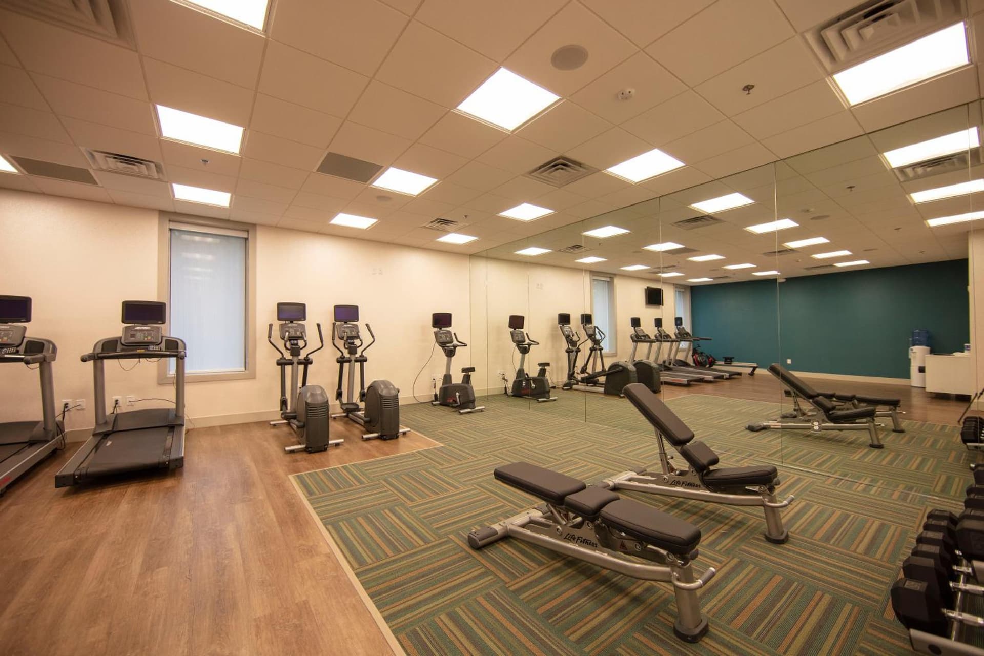 Holiday Inn Express Athens - University Area by IHG gallery photo in Athens, GA — image 26