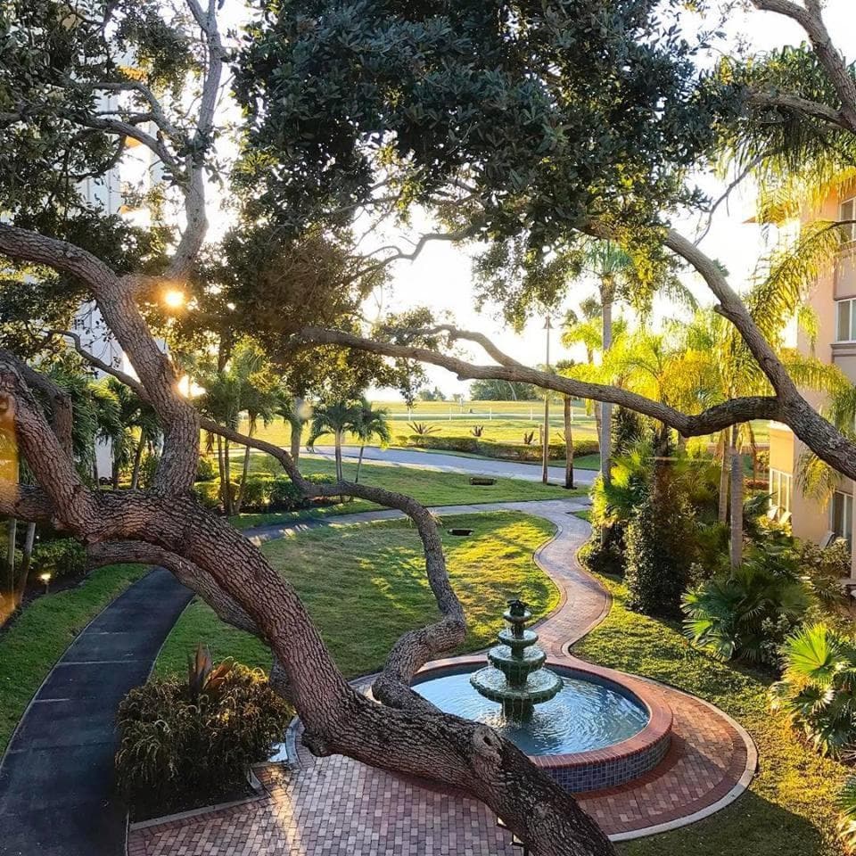 Safety Harbor Resort & Spa Trademark Collection by Wyndham gallery photo in Safety Harbor, FL — image 20