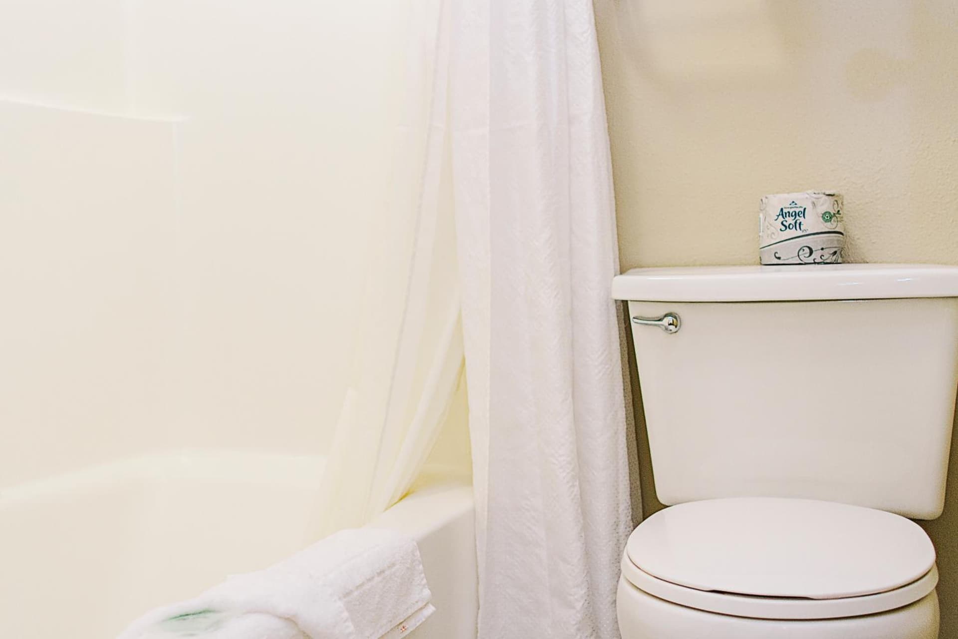 Lavissh Inn and Suites gallery photo in Bellingham, WA — image 20
