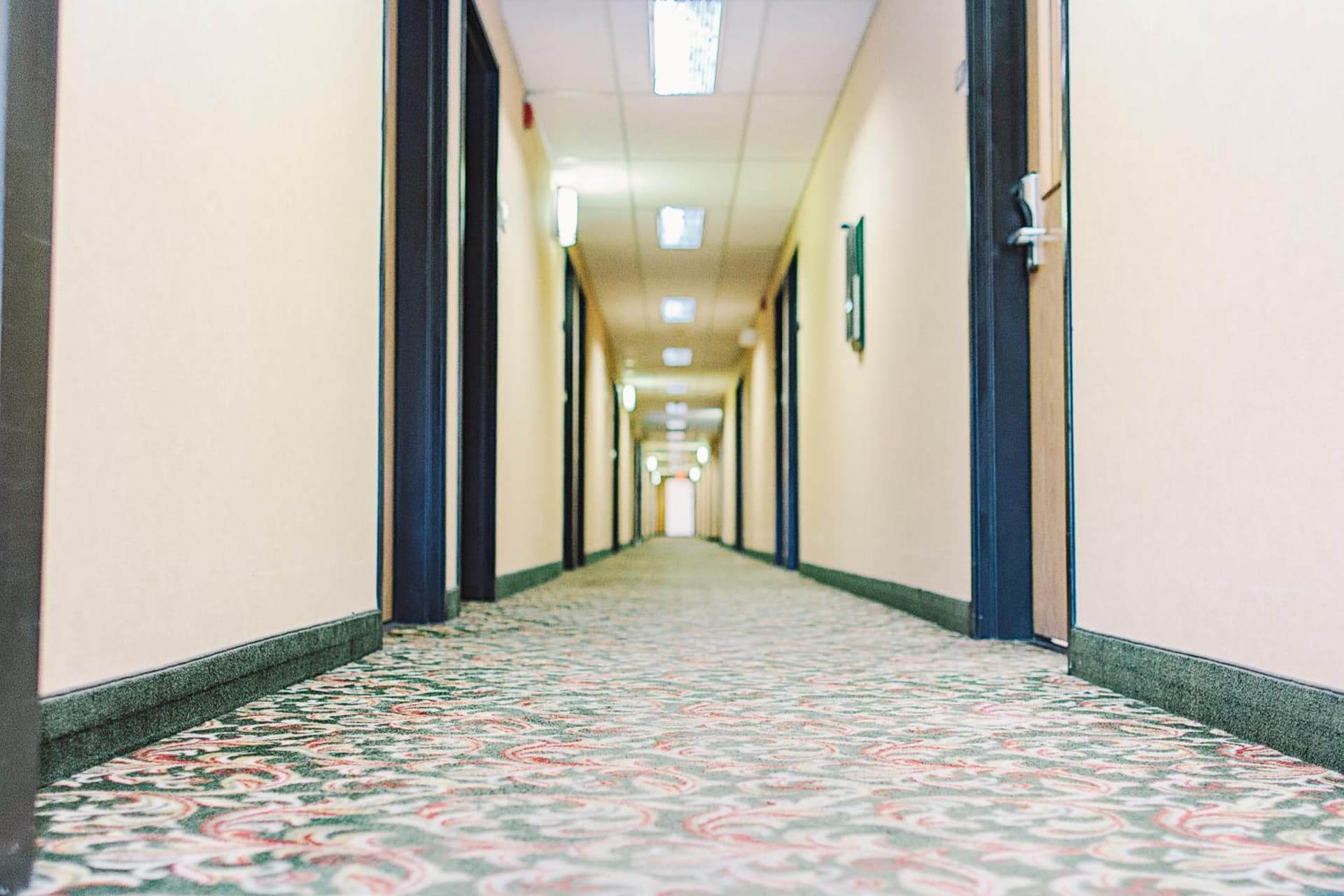 Lavissh Inn and Suites gallery photo in Bellingham, WA — image 23