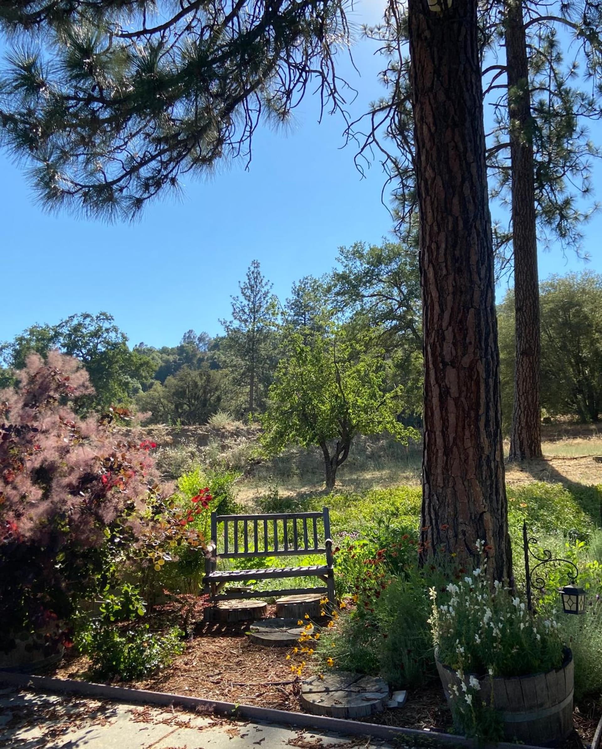 Kin House Guest Suite property views in Oakhurst, CA — gallery photo 3