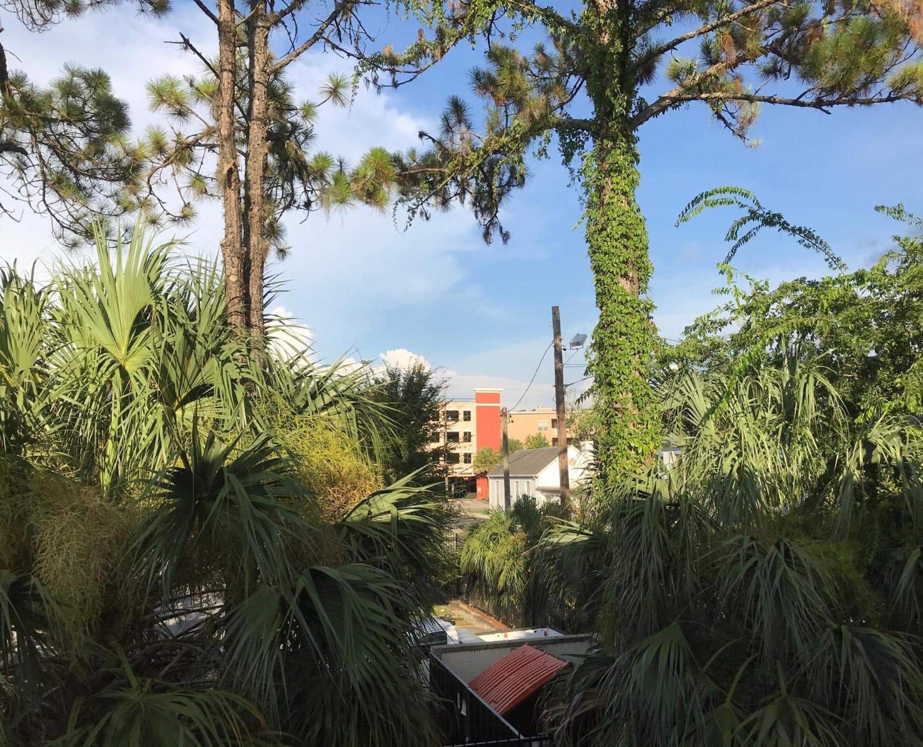 Gainesville Lodge gallery photo in Gainesville, FL — image 4