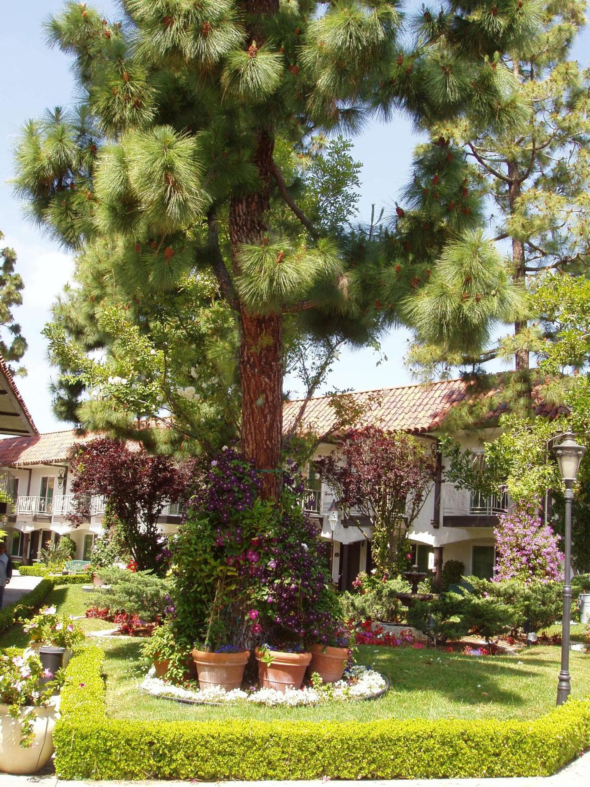 Laguna Hills Lodge-Irvine Spectrum gallery photo in Laguna Hills, CA — image 54