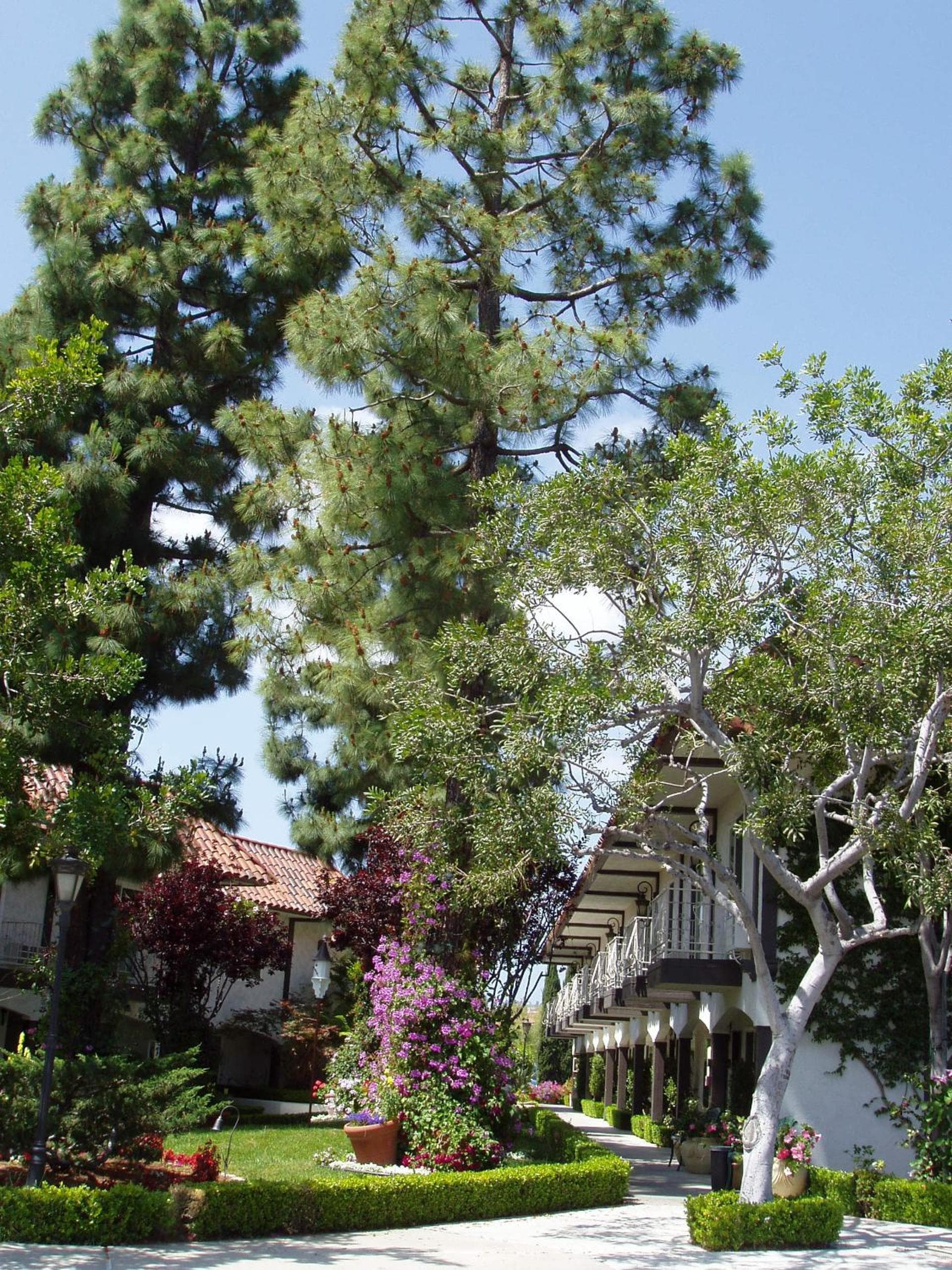 Laguna Hills Lodge-Irvine Spectrum gallery photo in Laguna Hills, CA — image 33