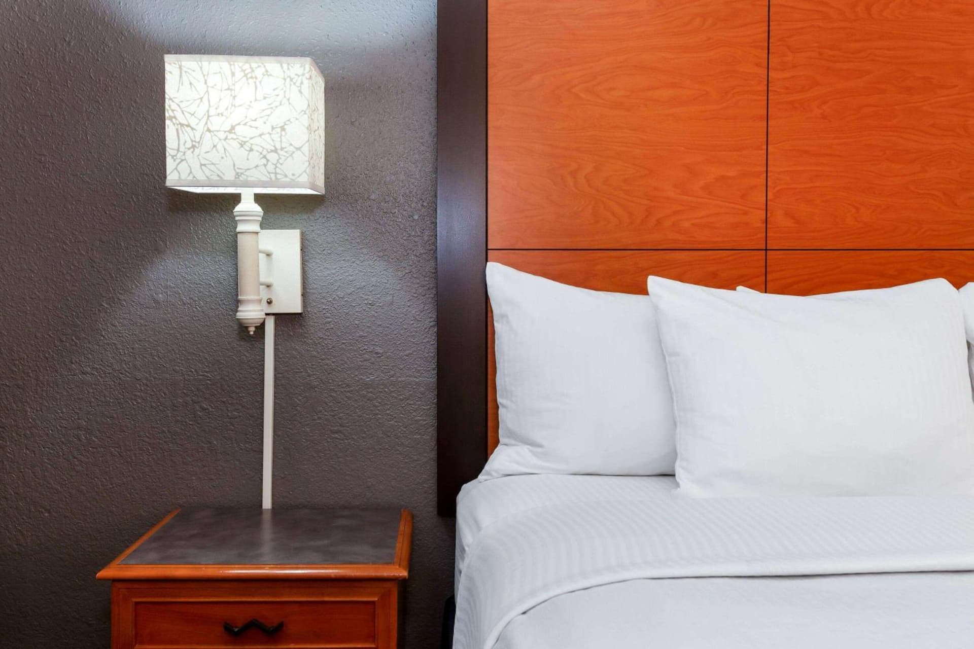 La Quinta Inn by Wyndham Laredo I-35 gallery photo in Laredo, TX — image 39