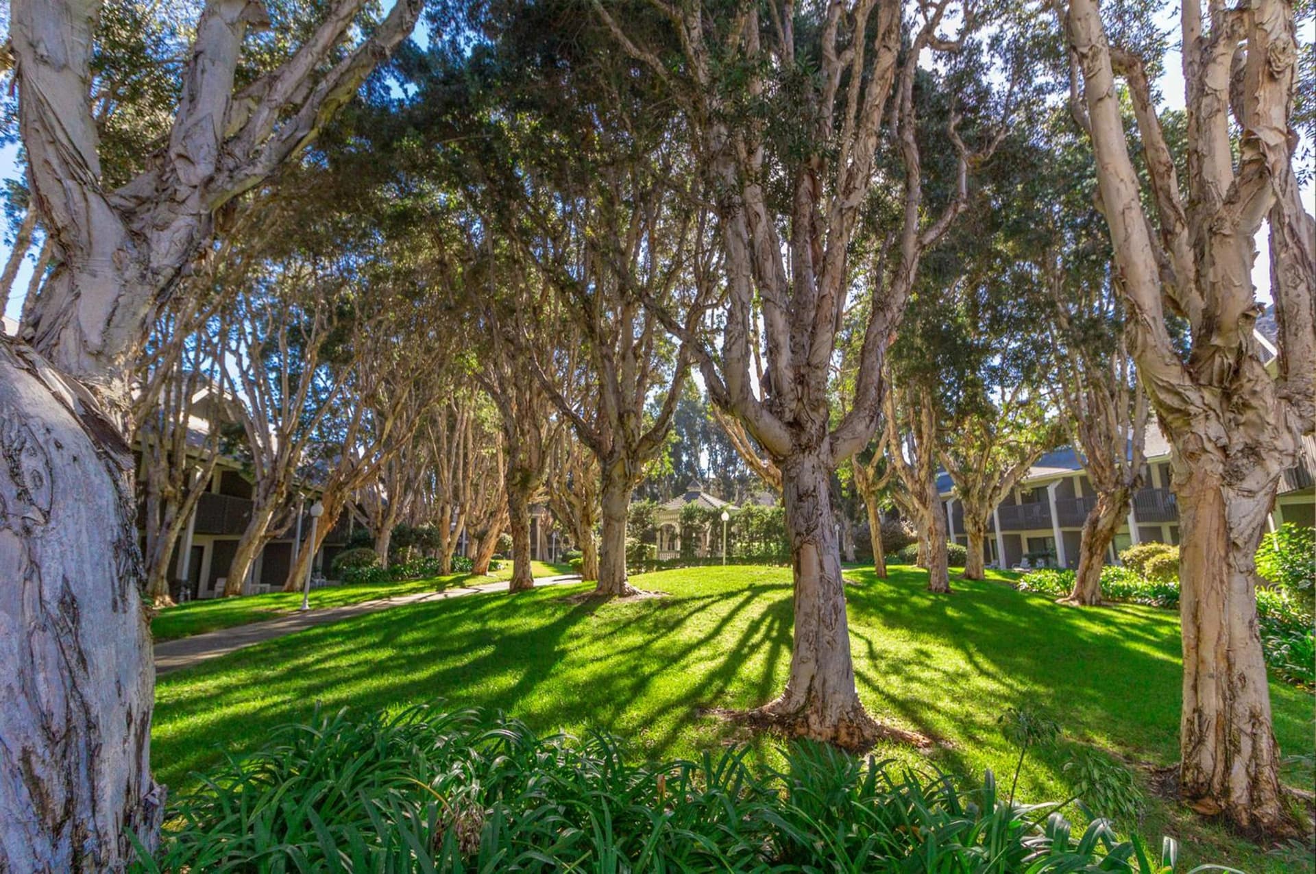 Carlsbad by the Sea Hotel gallery photo in Carlsbad, CA — image 8