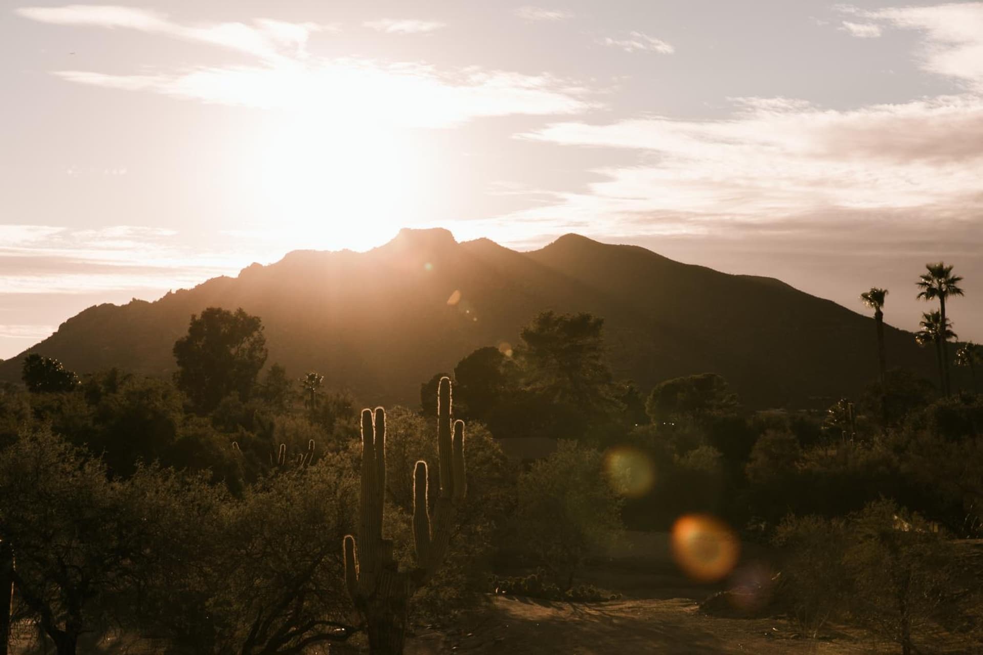 CIVANA Wellness Resort & Spa gallery photo in Scottsdale, AZ — image 19
