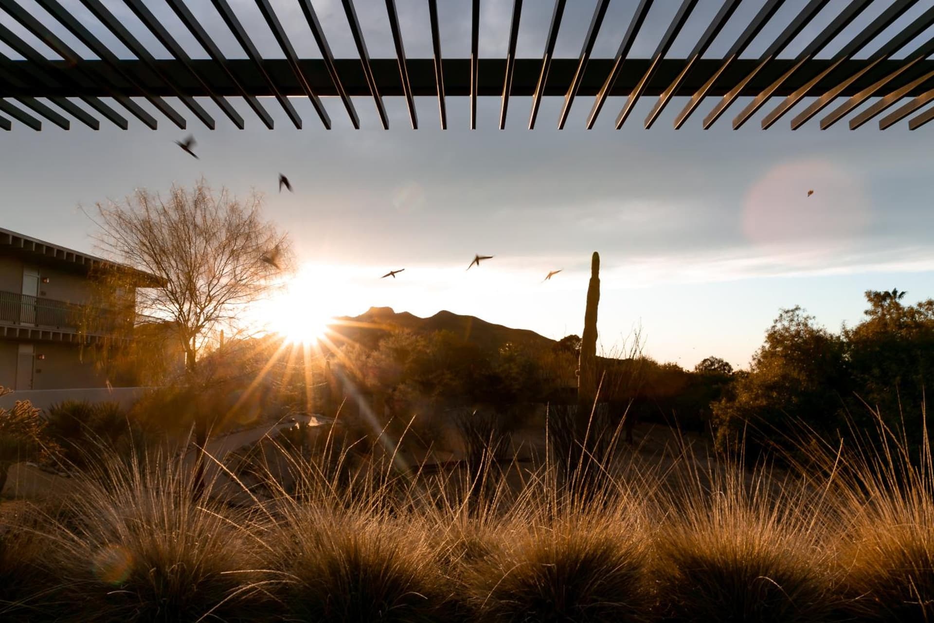 CIVANA Wellness Resort & Spa gallery photo in Scottsdale, AZ — image 9