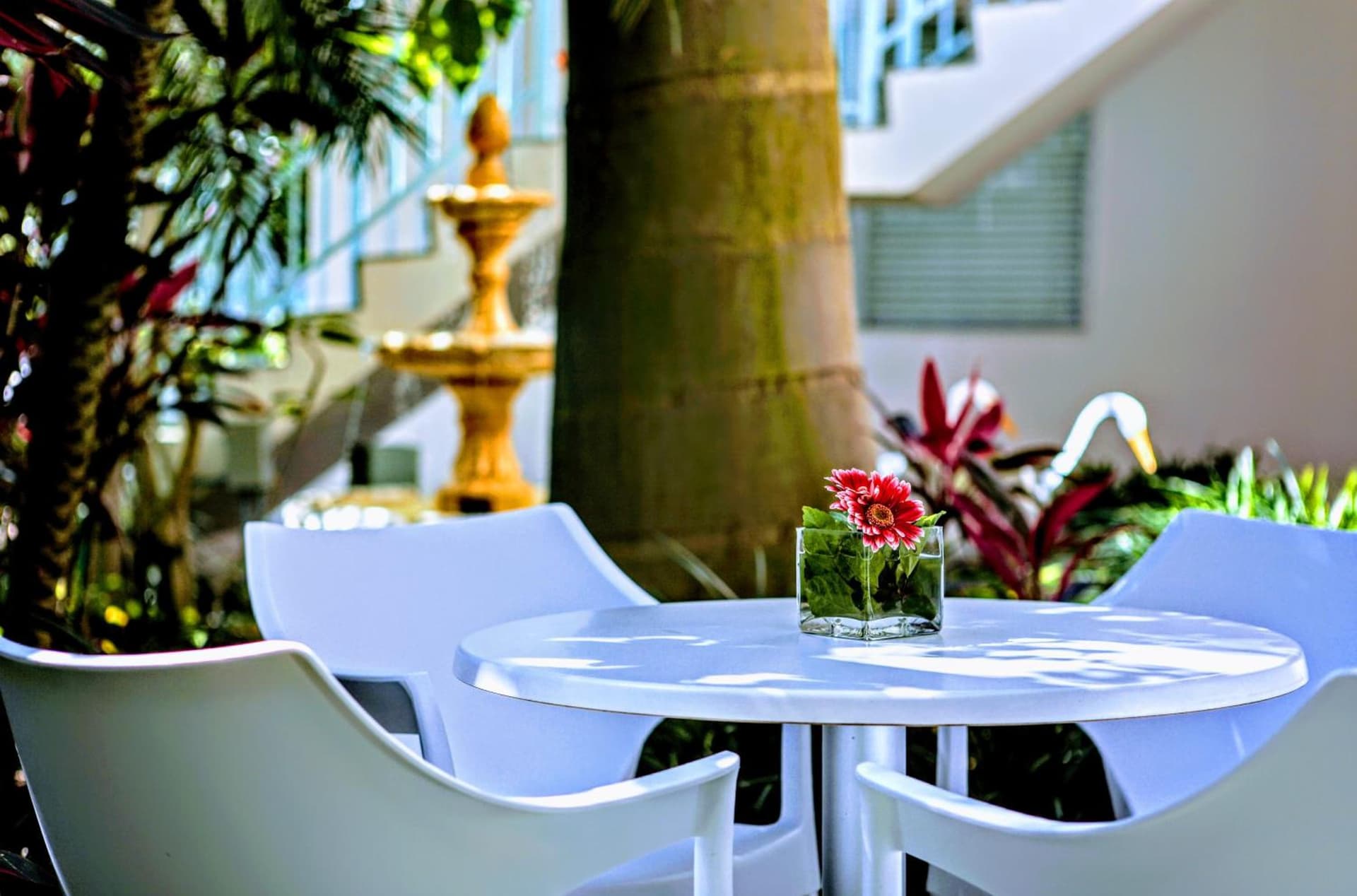 Villa Venezia gallery photo in Fort Lauderdale, FL — image 161