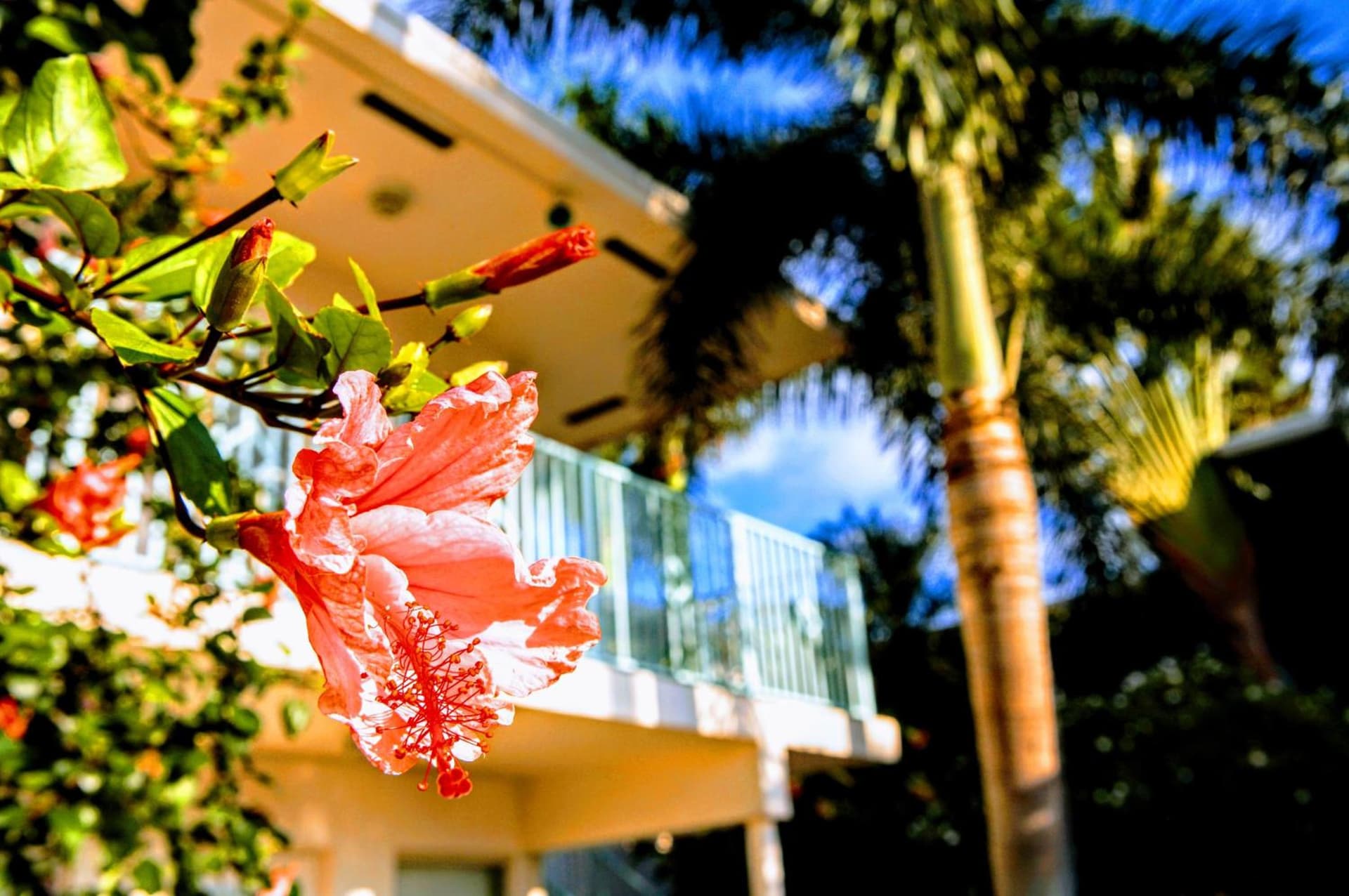 Villa Venezia gallery photo in Fort Lauderdale, FL — image 8
