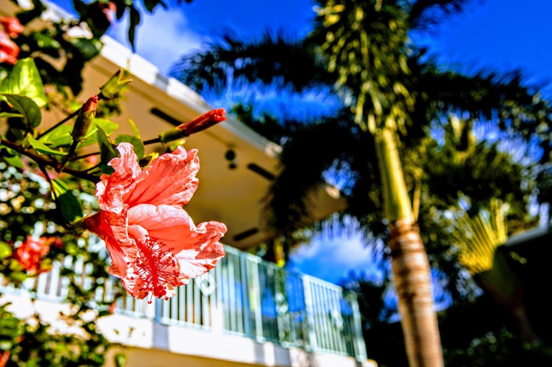 Villa Venezia gallery photo in Fort Lauderdale, FL — image 130