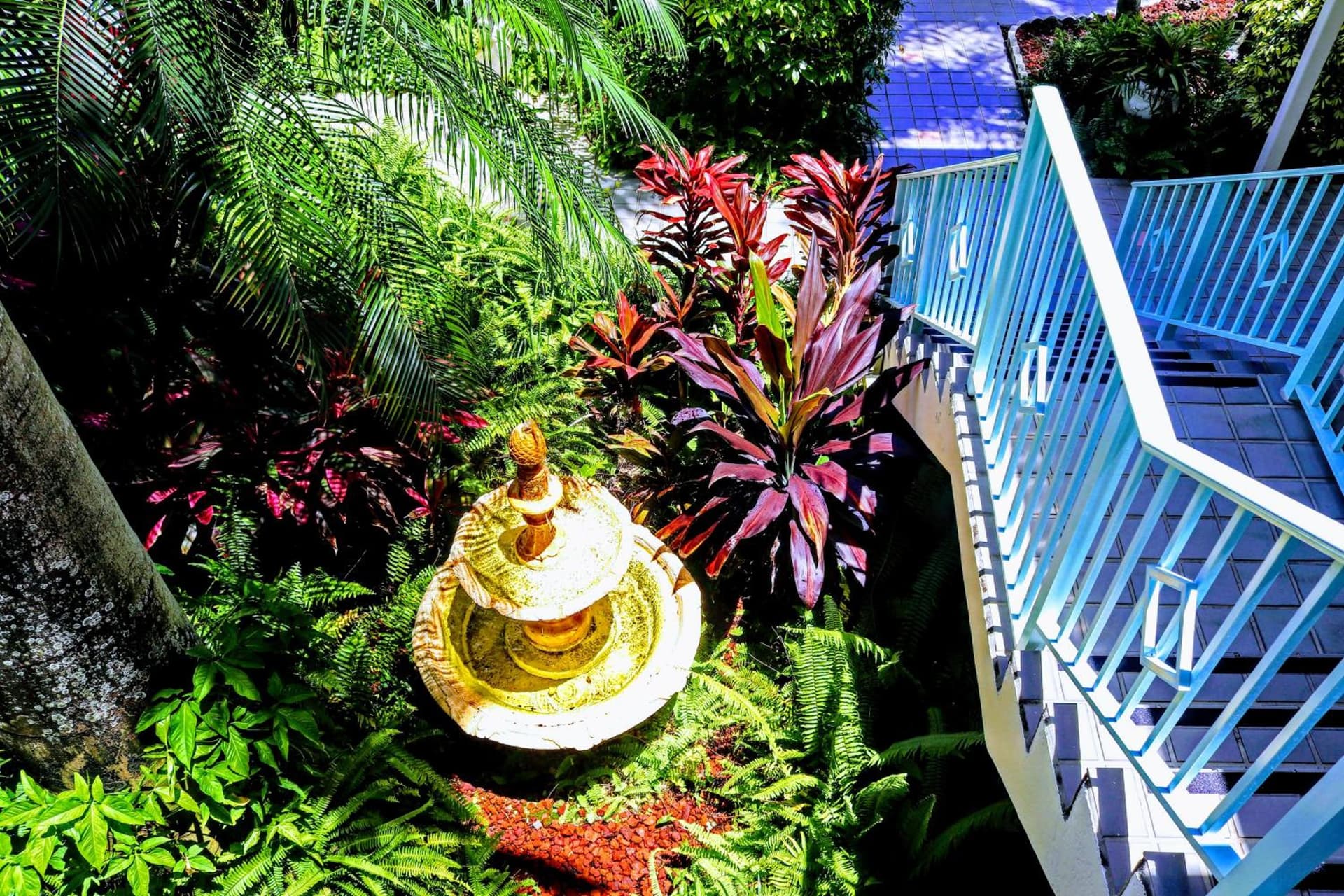 Villa Venezia gallery photo in Fort Lauderdale, FL — image 200