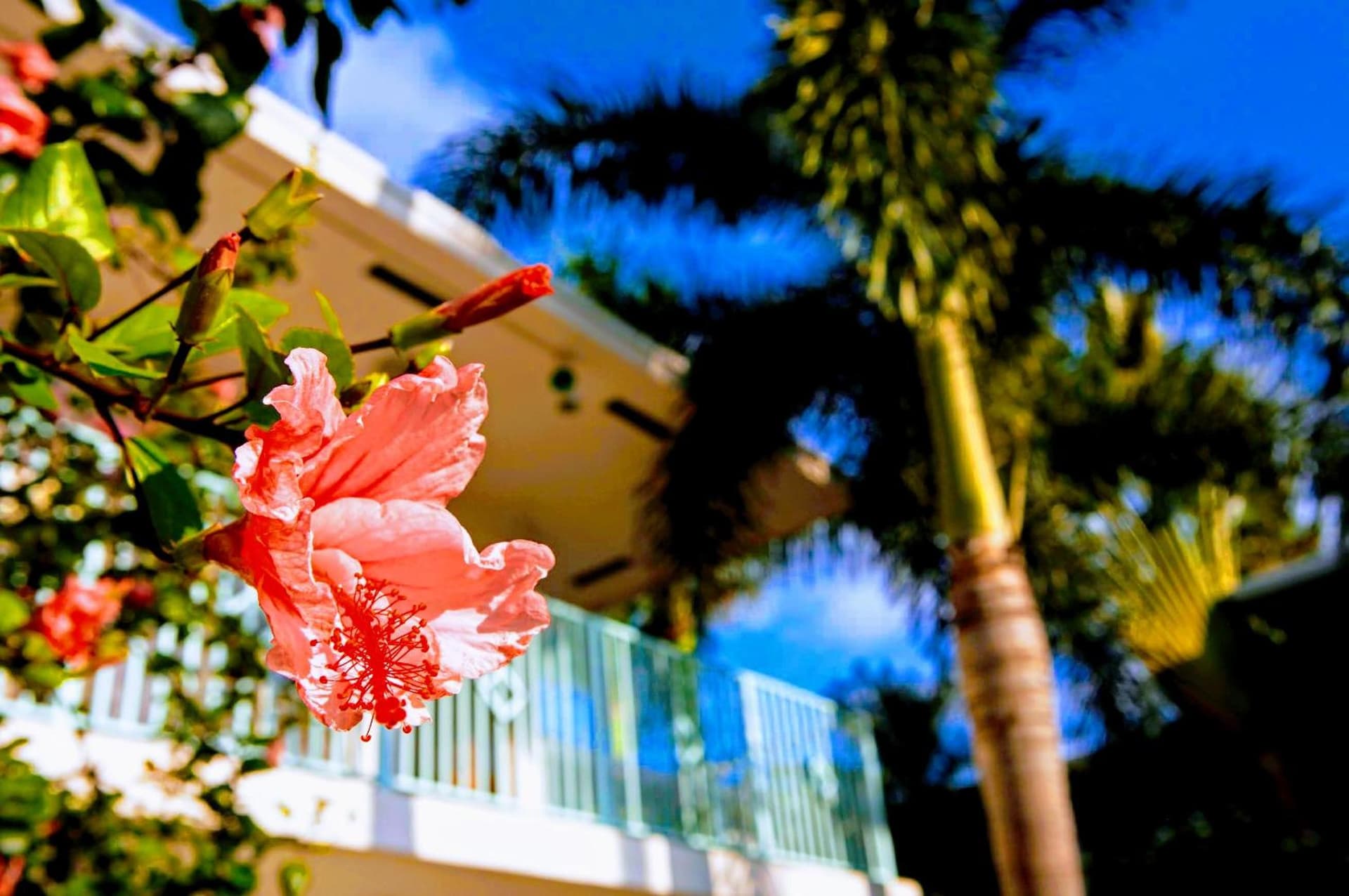 Villa Venezia gallery photo in Fort Lauderdale, FL — image 197