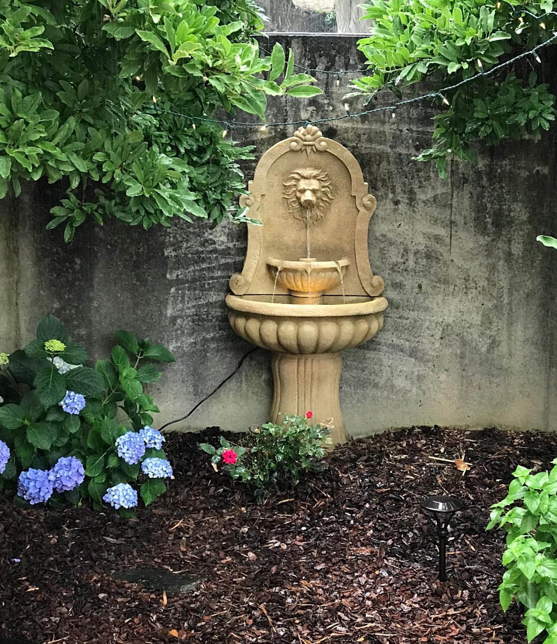 The Dahlonega Square Hotel gallery photo in Dahlonega, GA — image 4