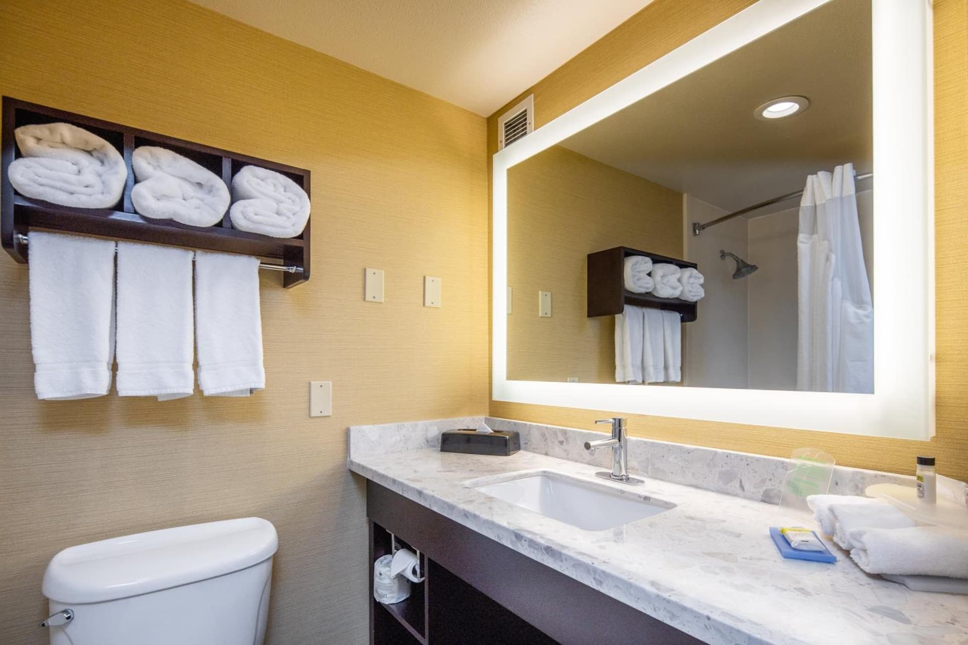 Holiday Inn Express Castro Valley - I-580 by IHG gallery photo in Castro Valley, CA — image 23