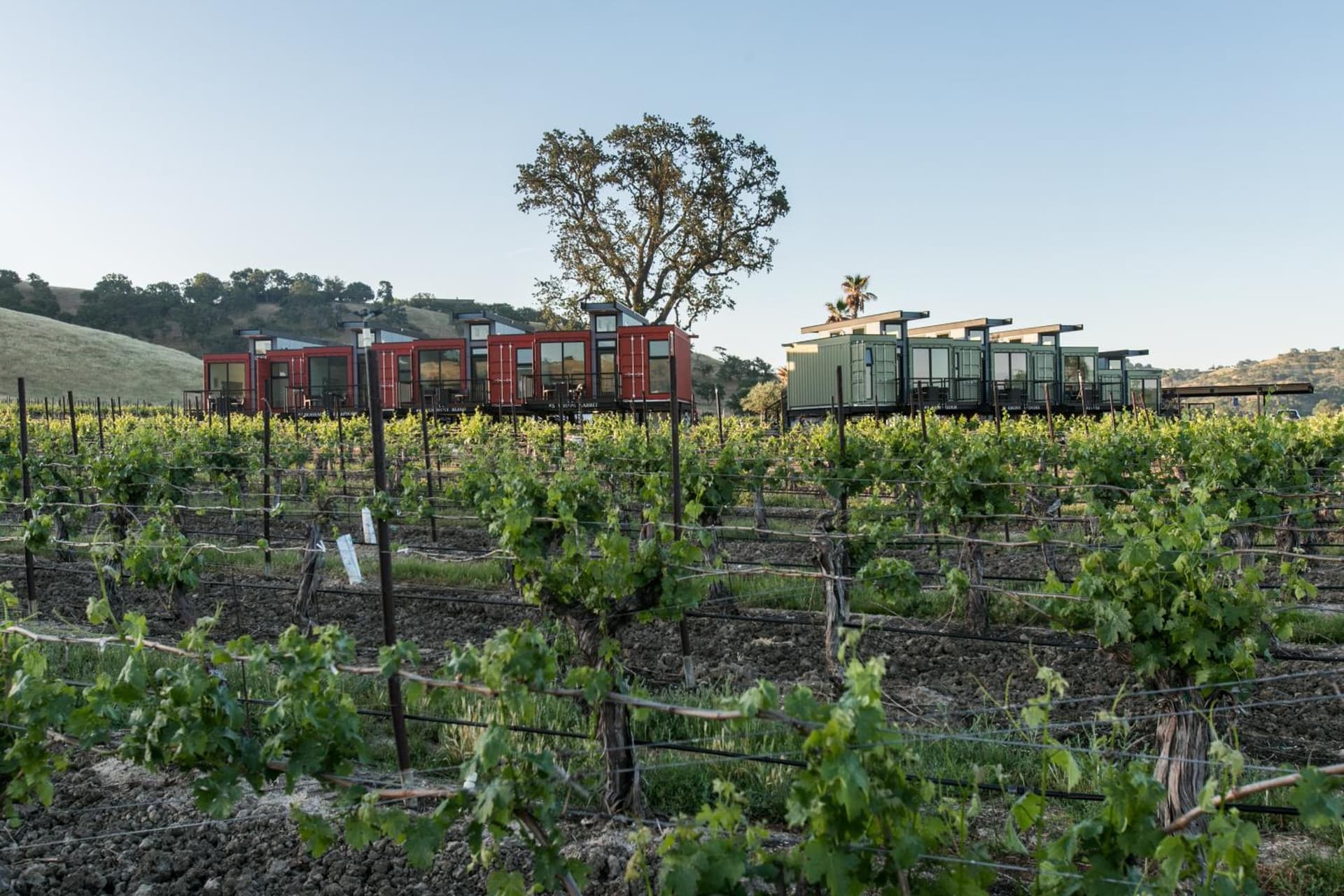 Geneseo Inn gallery photo in Paso Robles, CA — image 50