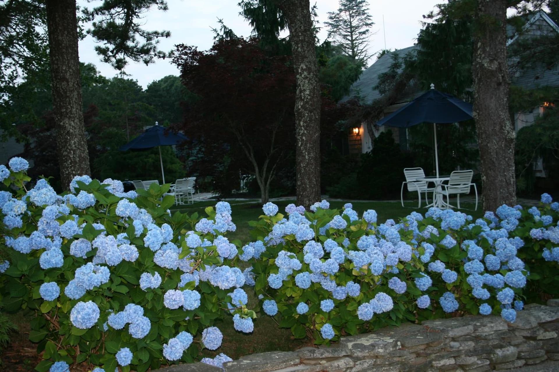 Pleasant Bay Village Resort gallery photo in Chatham, MA — image 107