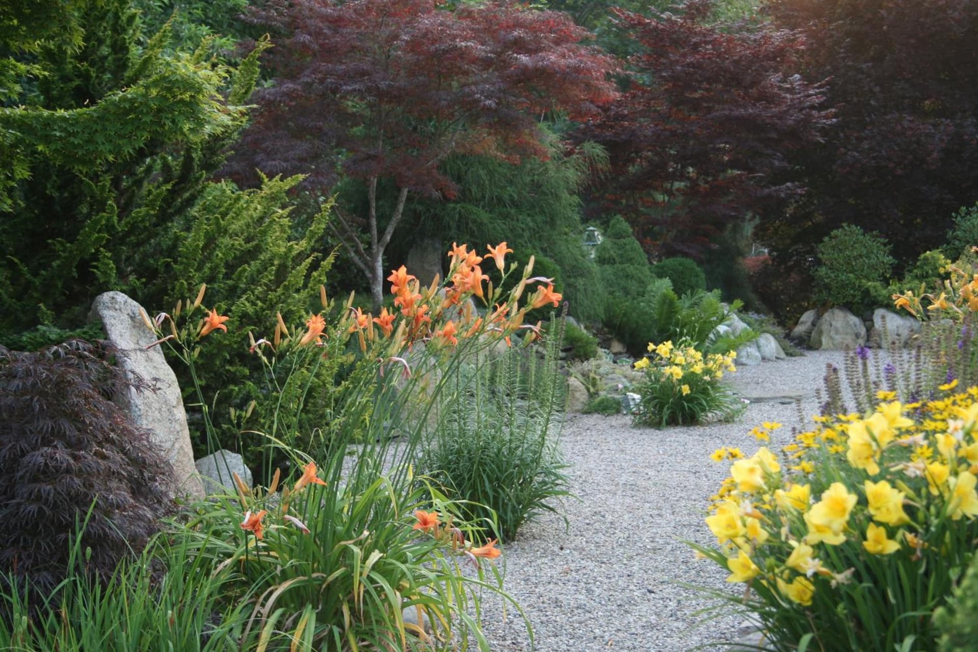 Pleasant Bay Village Resort gallery photo in Chatham, MA — image 9