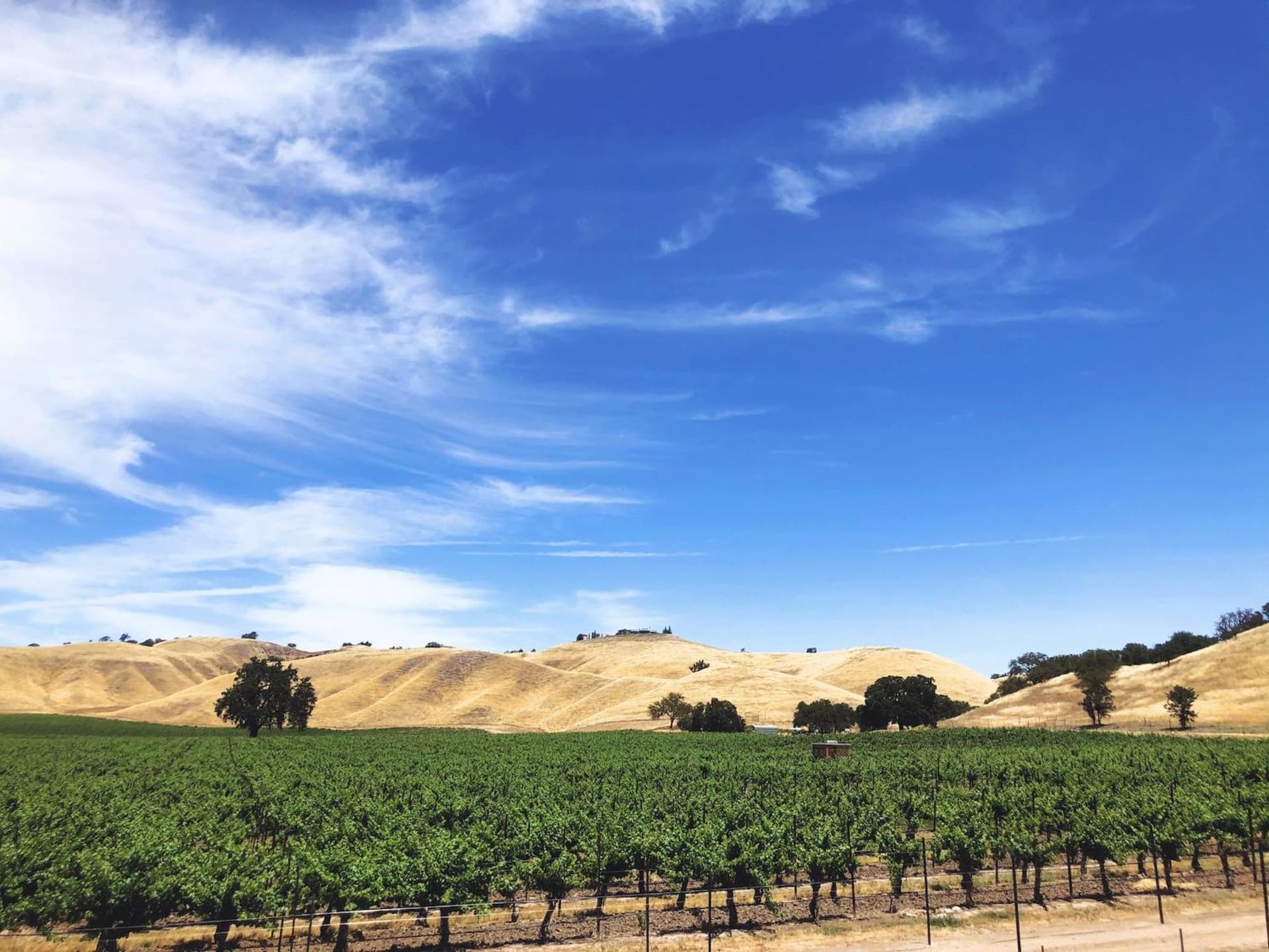 Geneseo Inn gallery photo in Paso Robles, CA — image 38